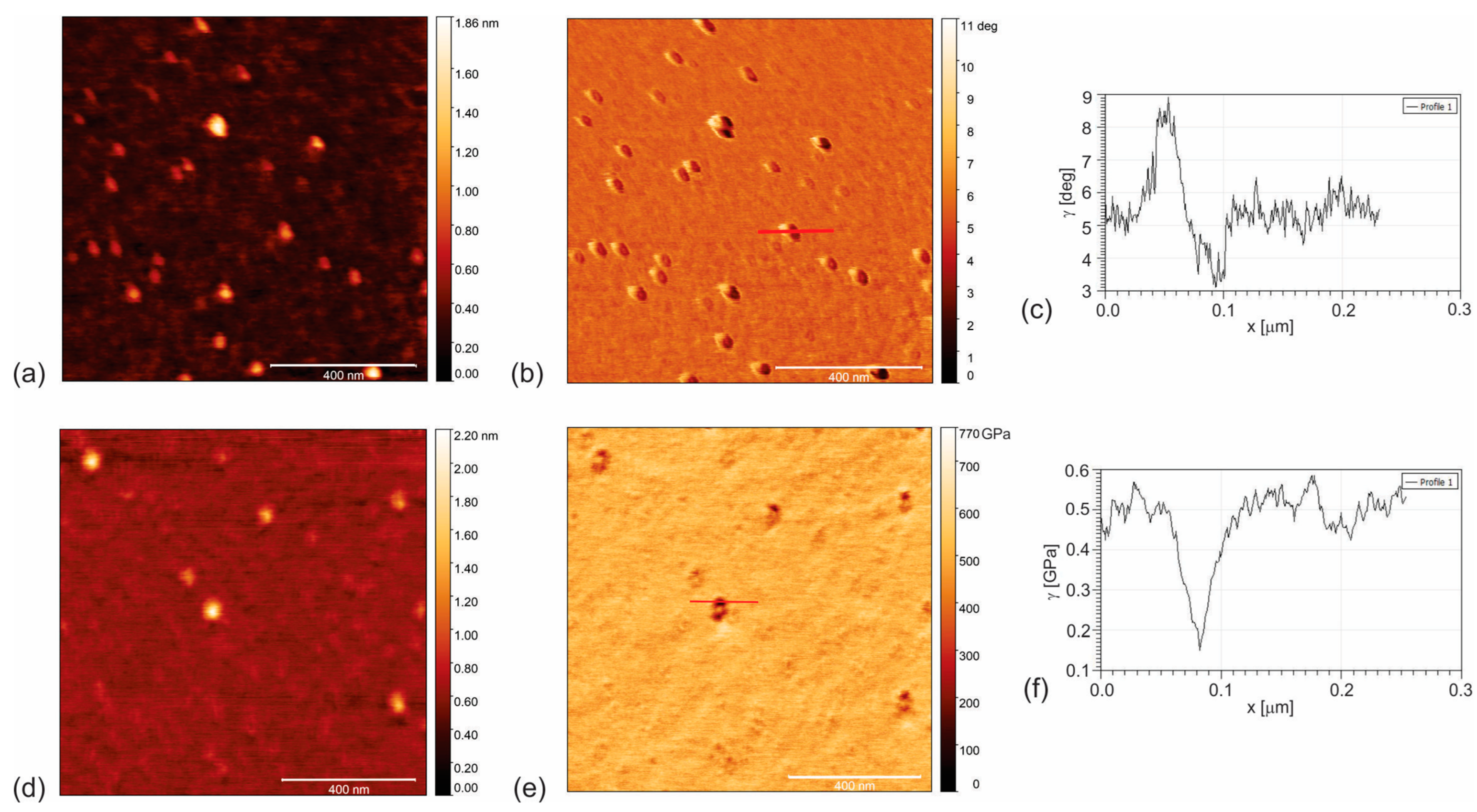 Pharmaceutics 16 01565 g002