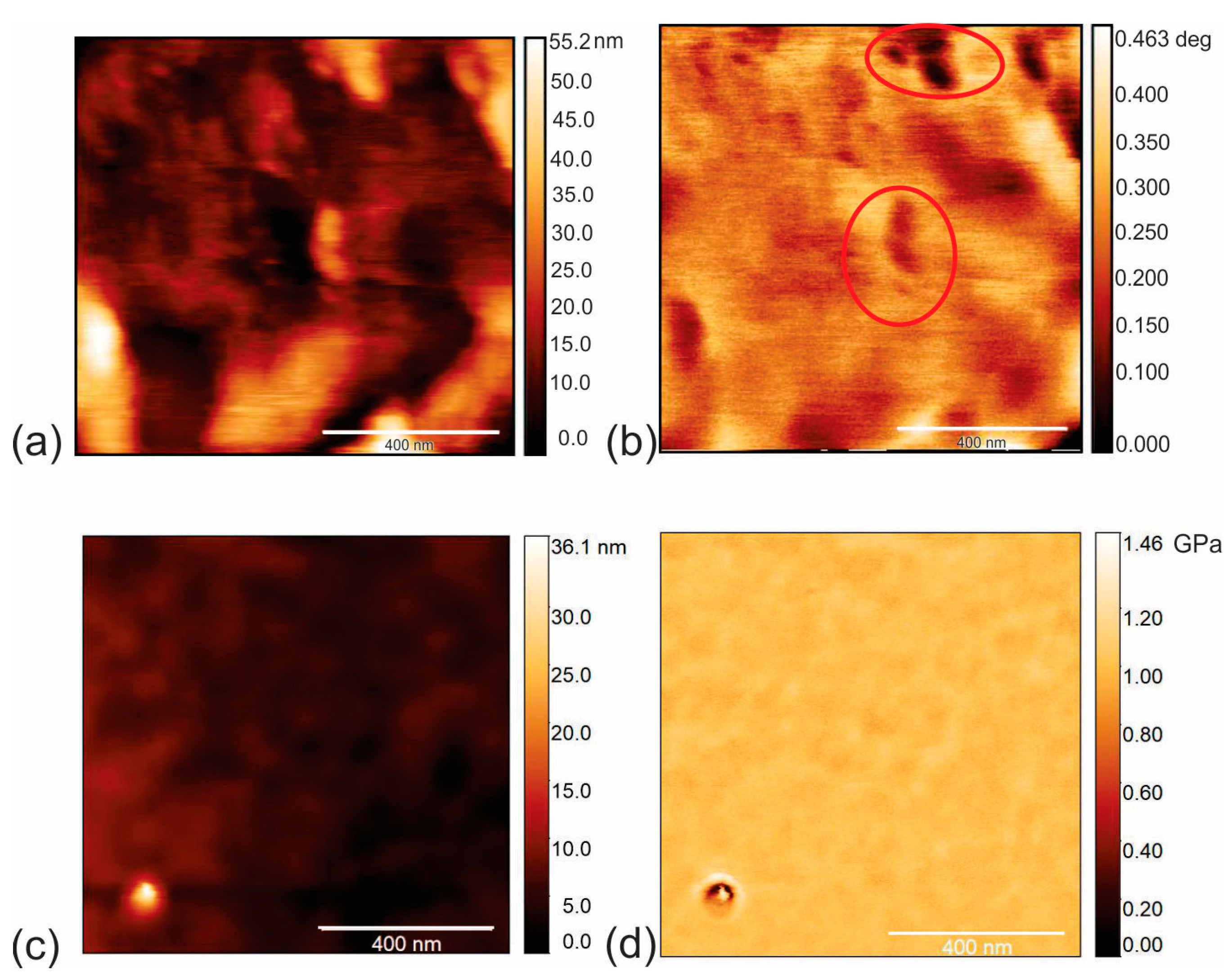 Pharmaceutics 16 01565 g004