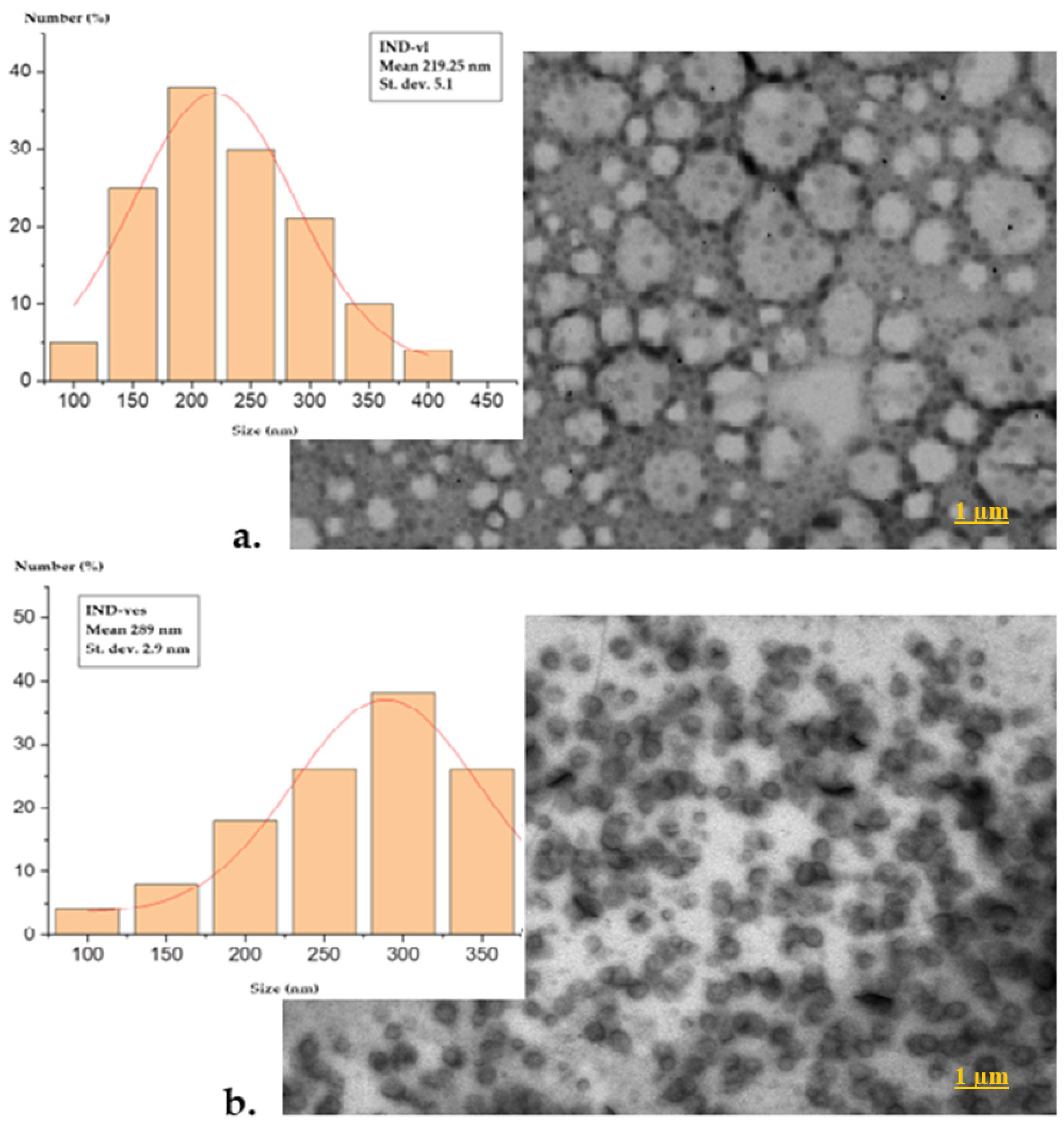 Pharmaceutics 16 01574 g002