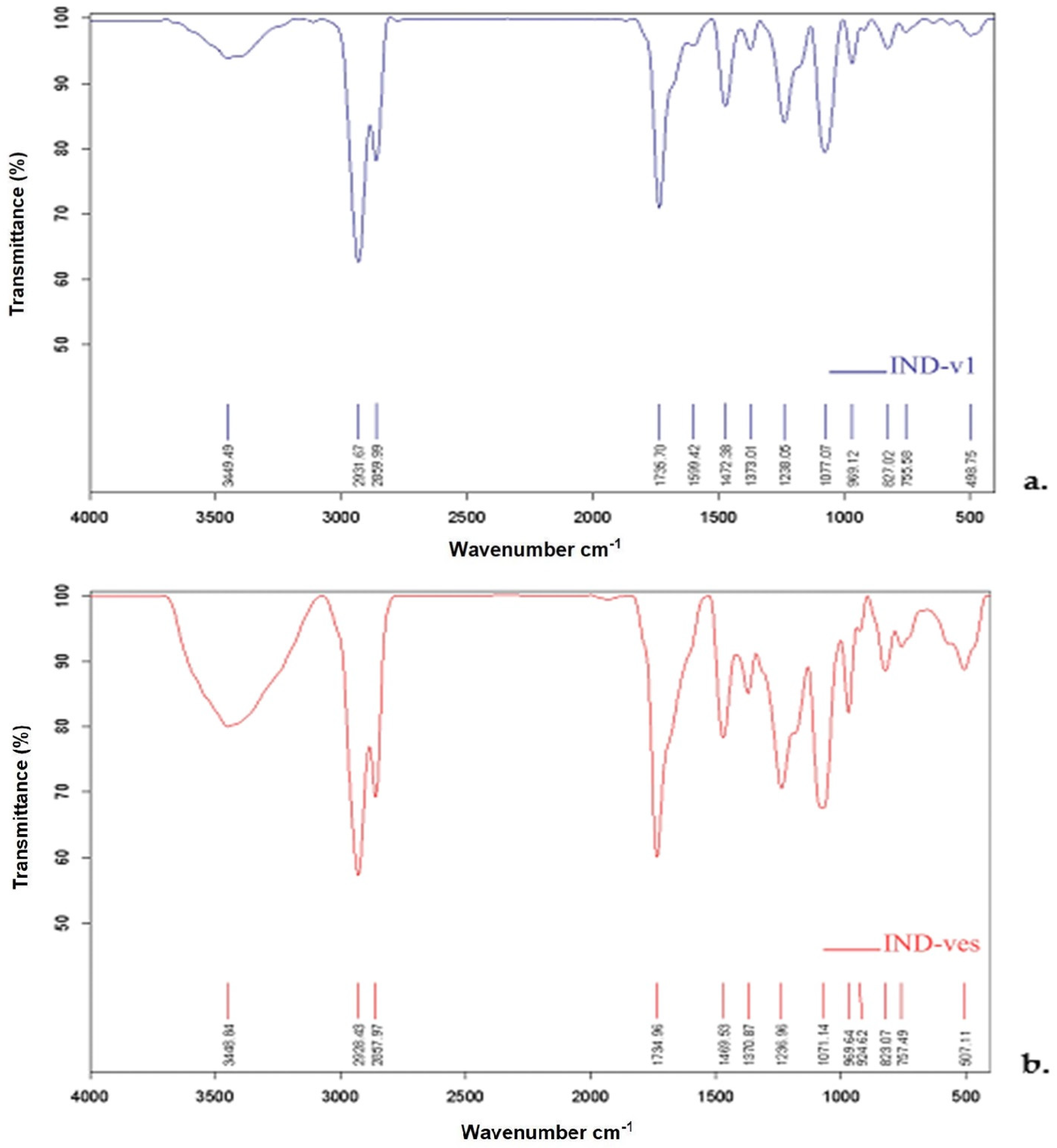 Pharmaceutics 16 01574 g005