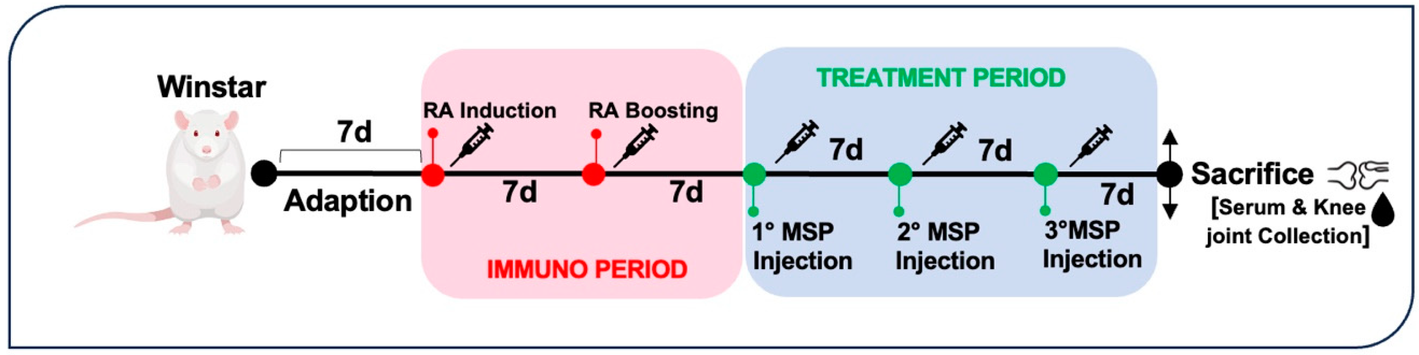 Pharmaceutics 16 01593 g002