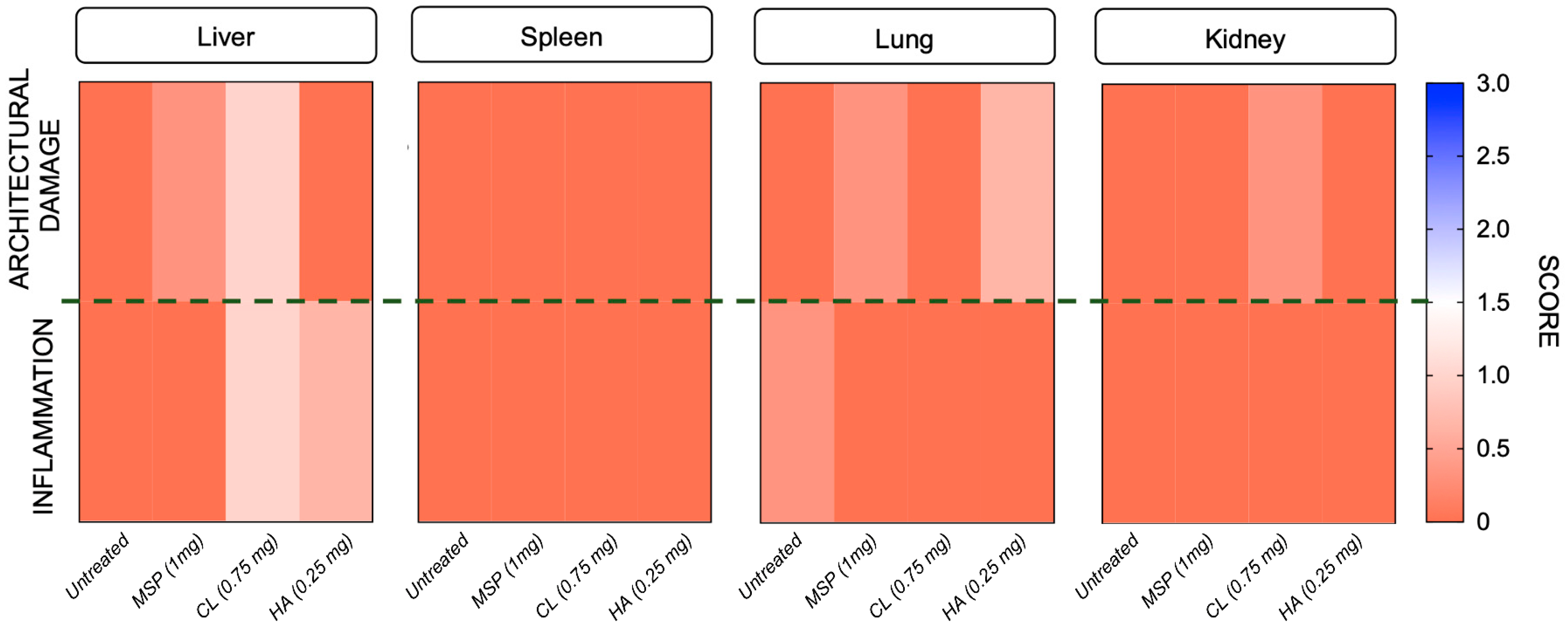 Pharmaceutics 16 01593 g008