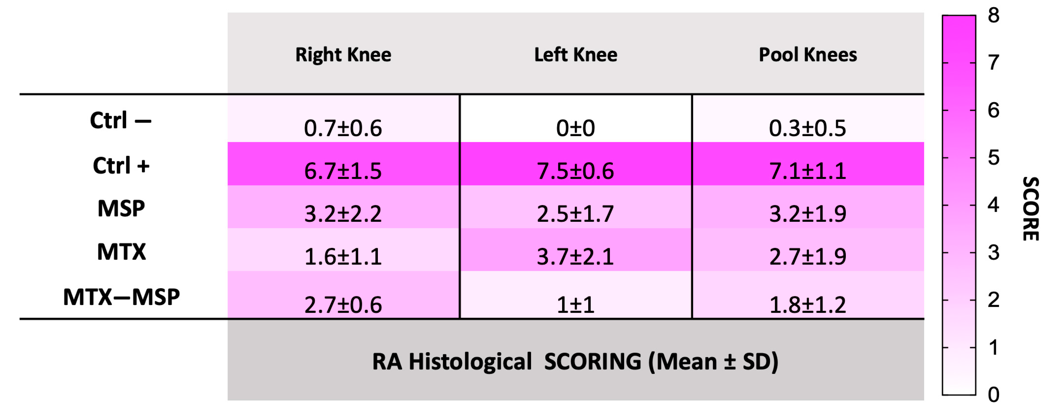 Pharmaceutics 16 01593 g012