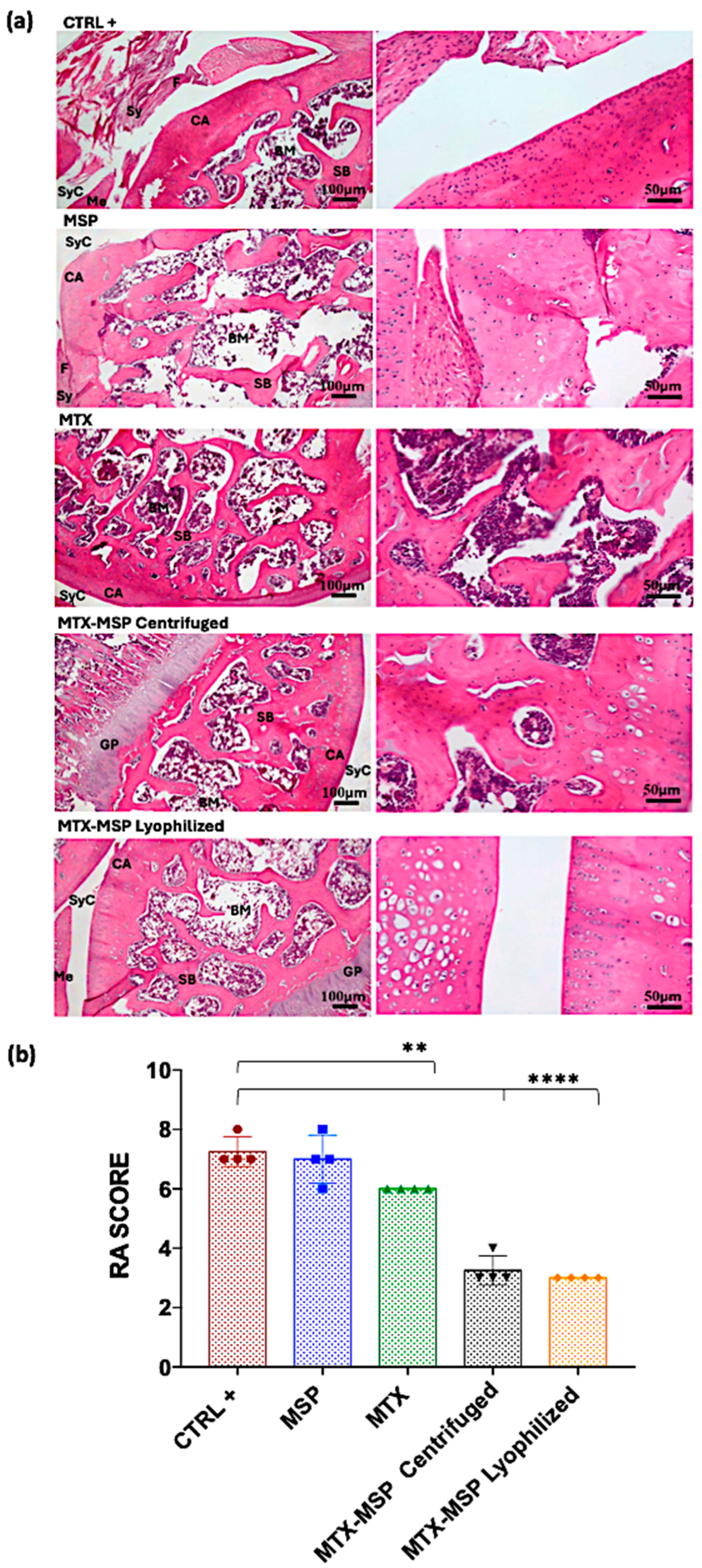 Pharmaceutics 16 01593 g014