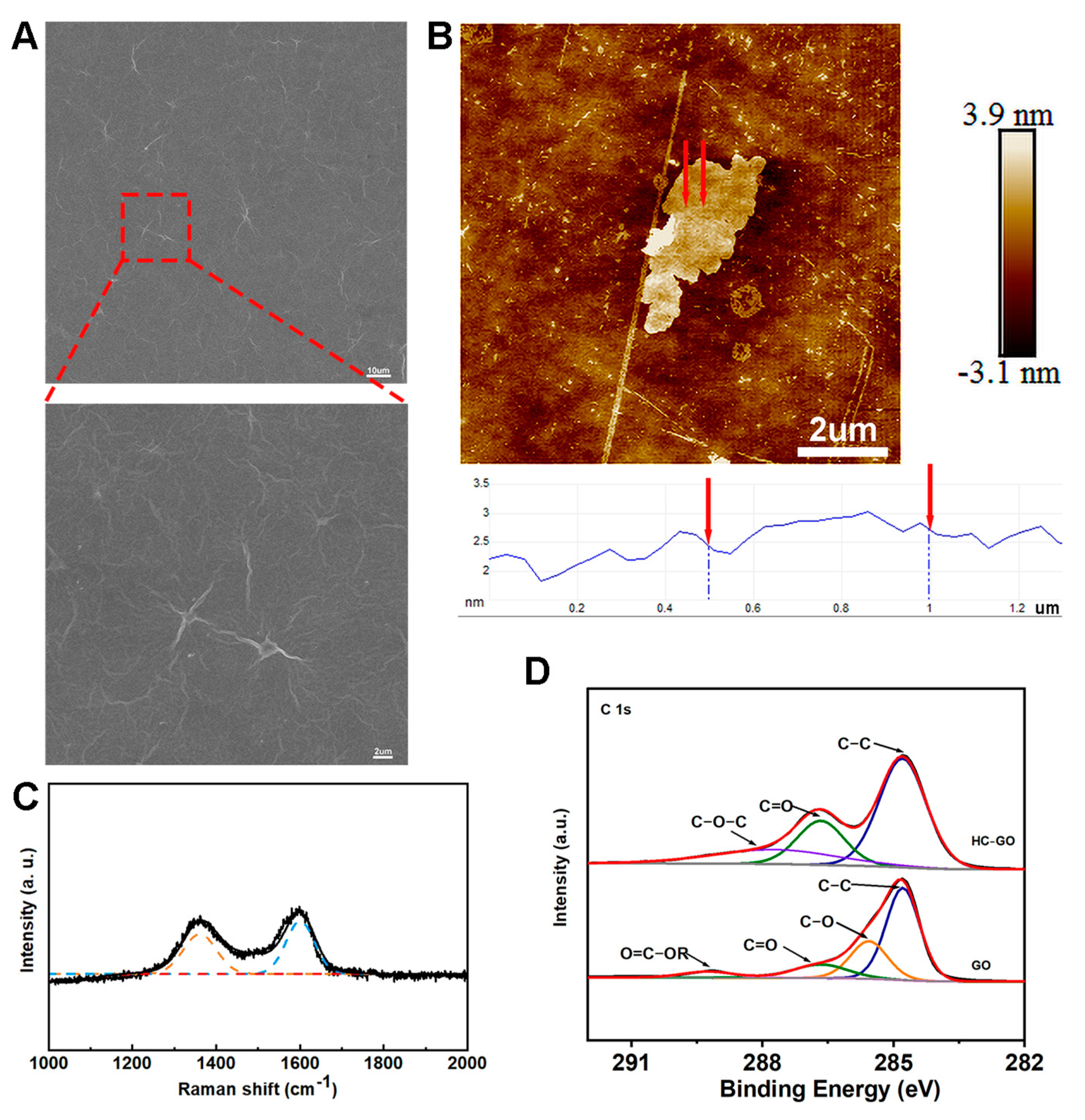 Pharmaceutics 16 01605 g001