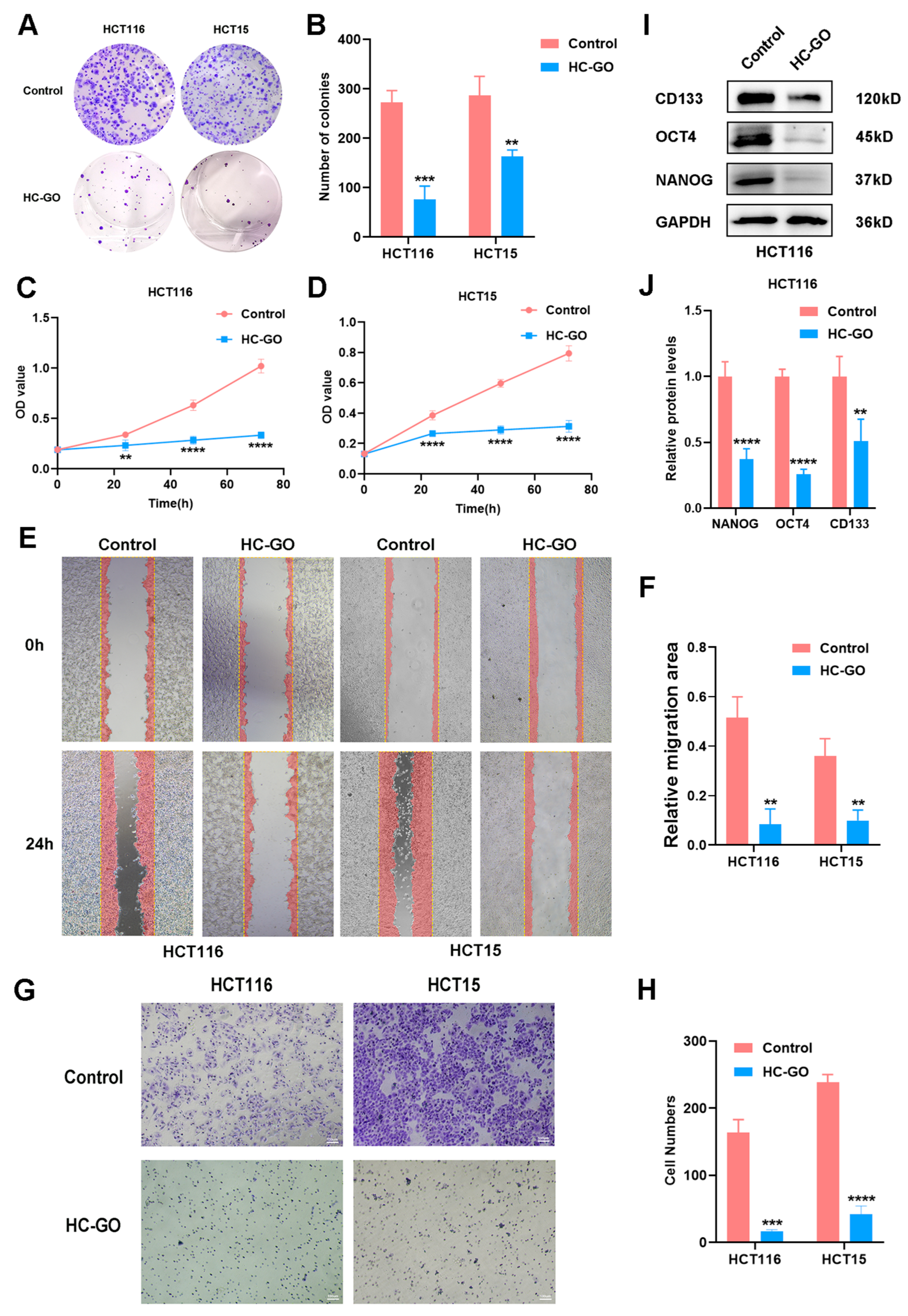 Pharmaceutics 16 01605 g002