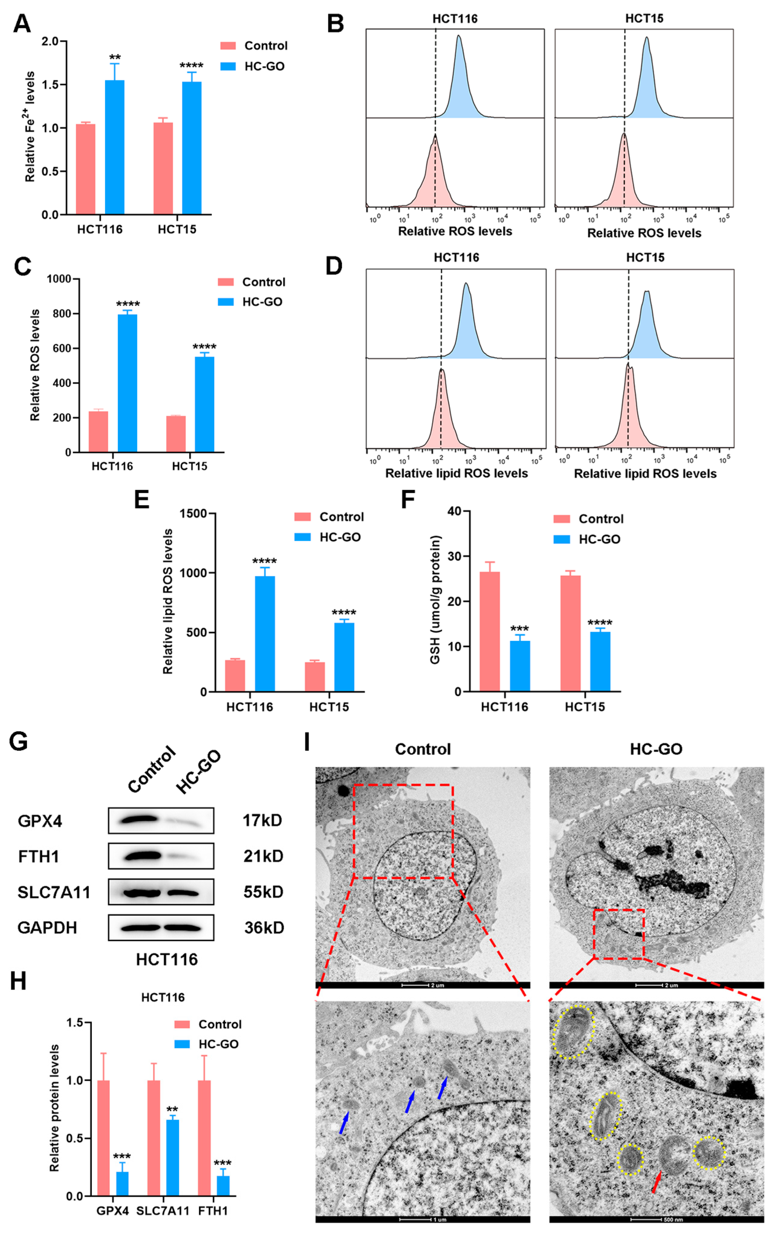 Pharmaceutics 16 01605 g003