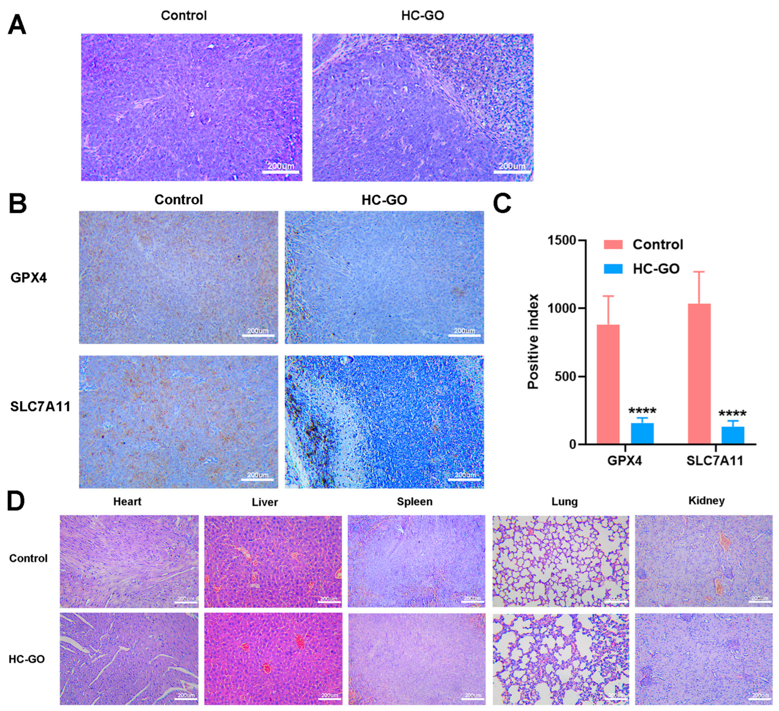 Pharmaceutics 16 01605 g005