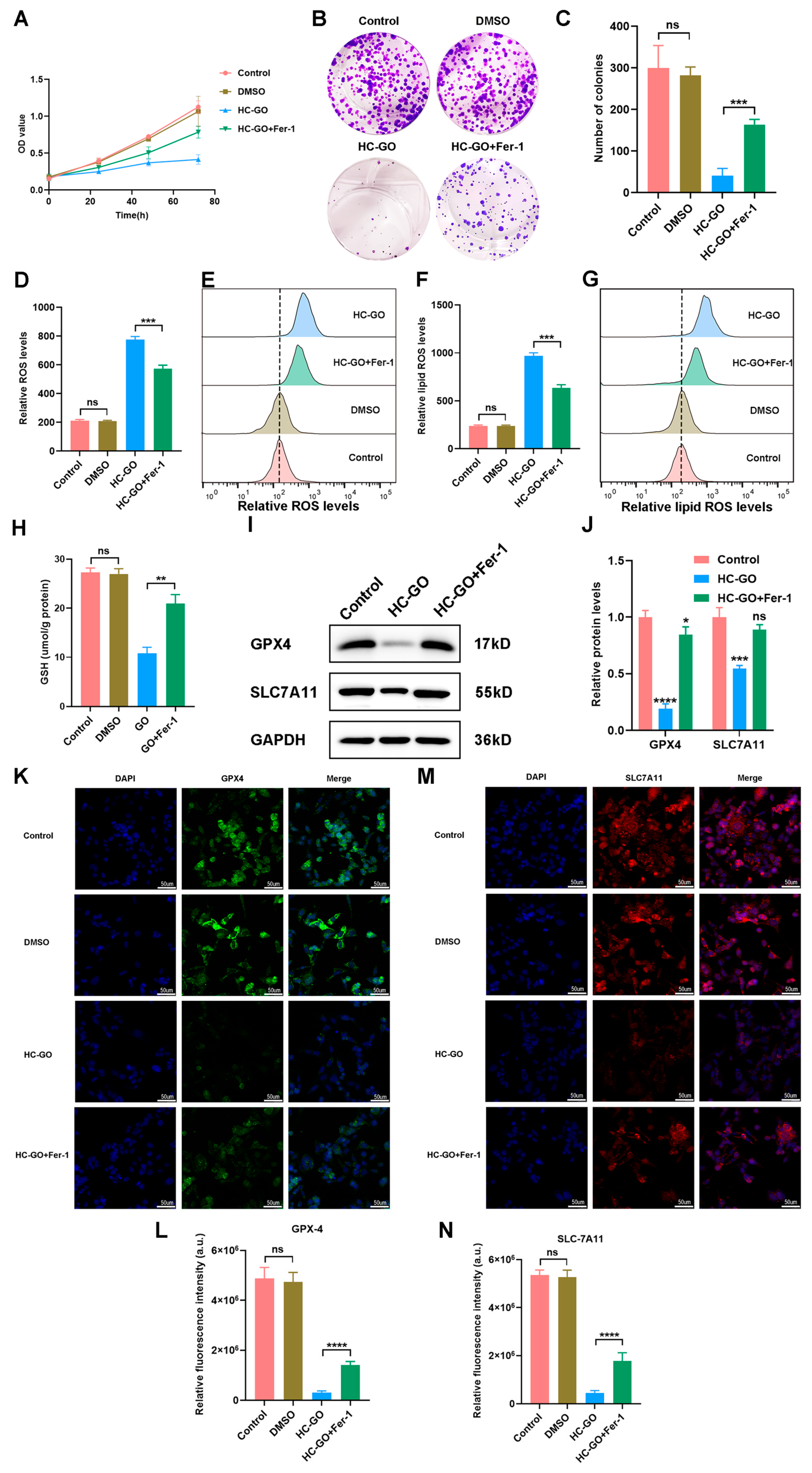 Pharmaceutics 16 01605 g006