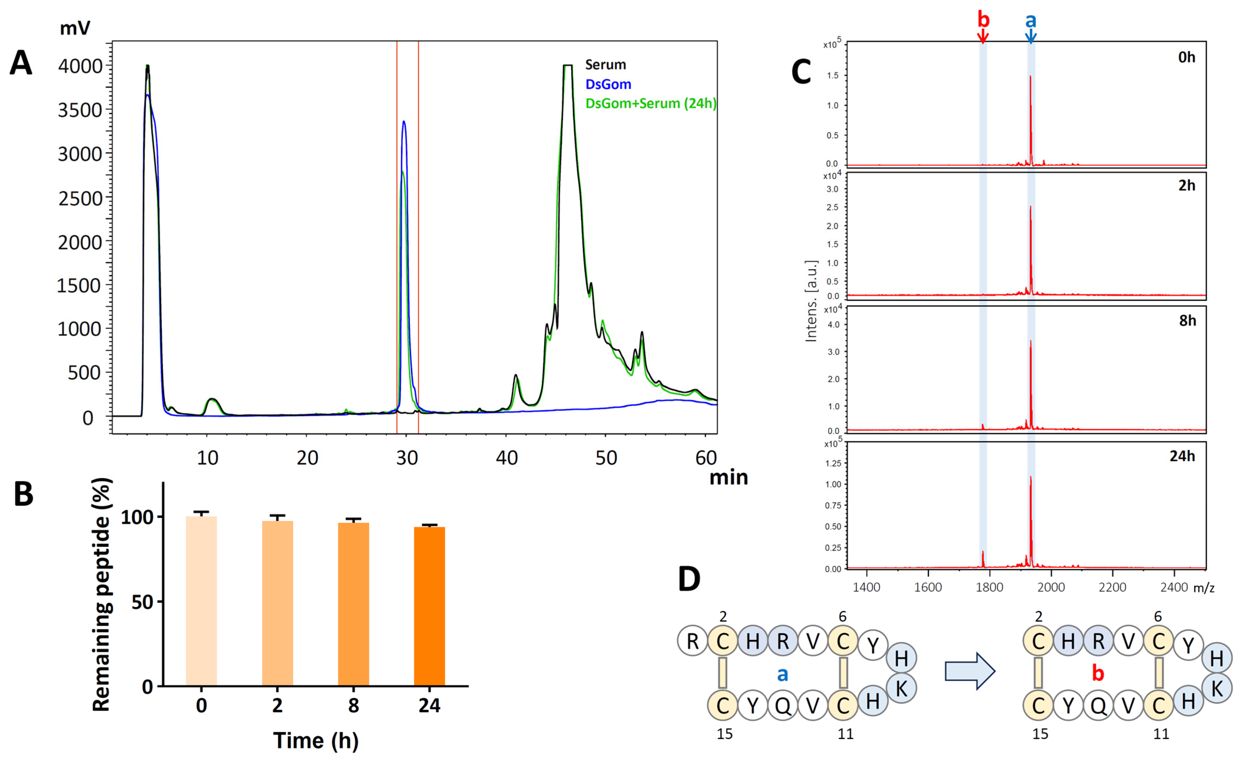 Pharmaceutics 16 01606 g005 Pharmaceutics 16 01606 g005