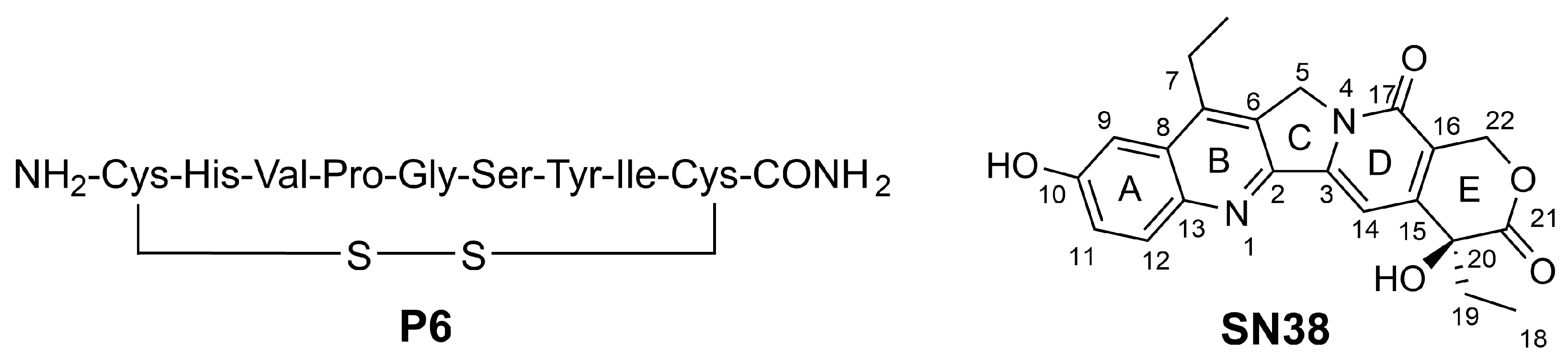 Pharmaceutics 16 01613 g001