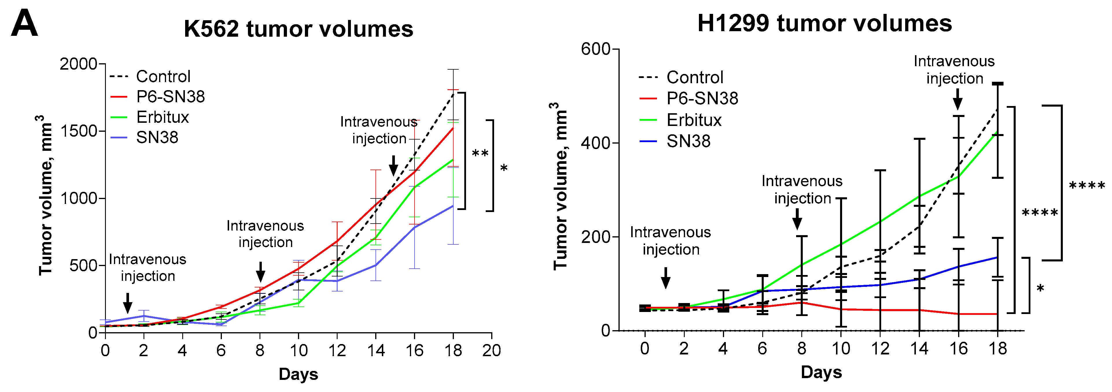 Pharmaceutics 16 01613 g006a