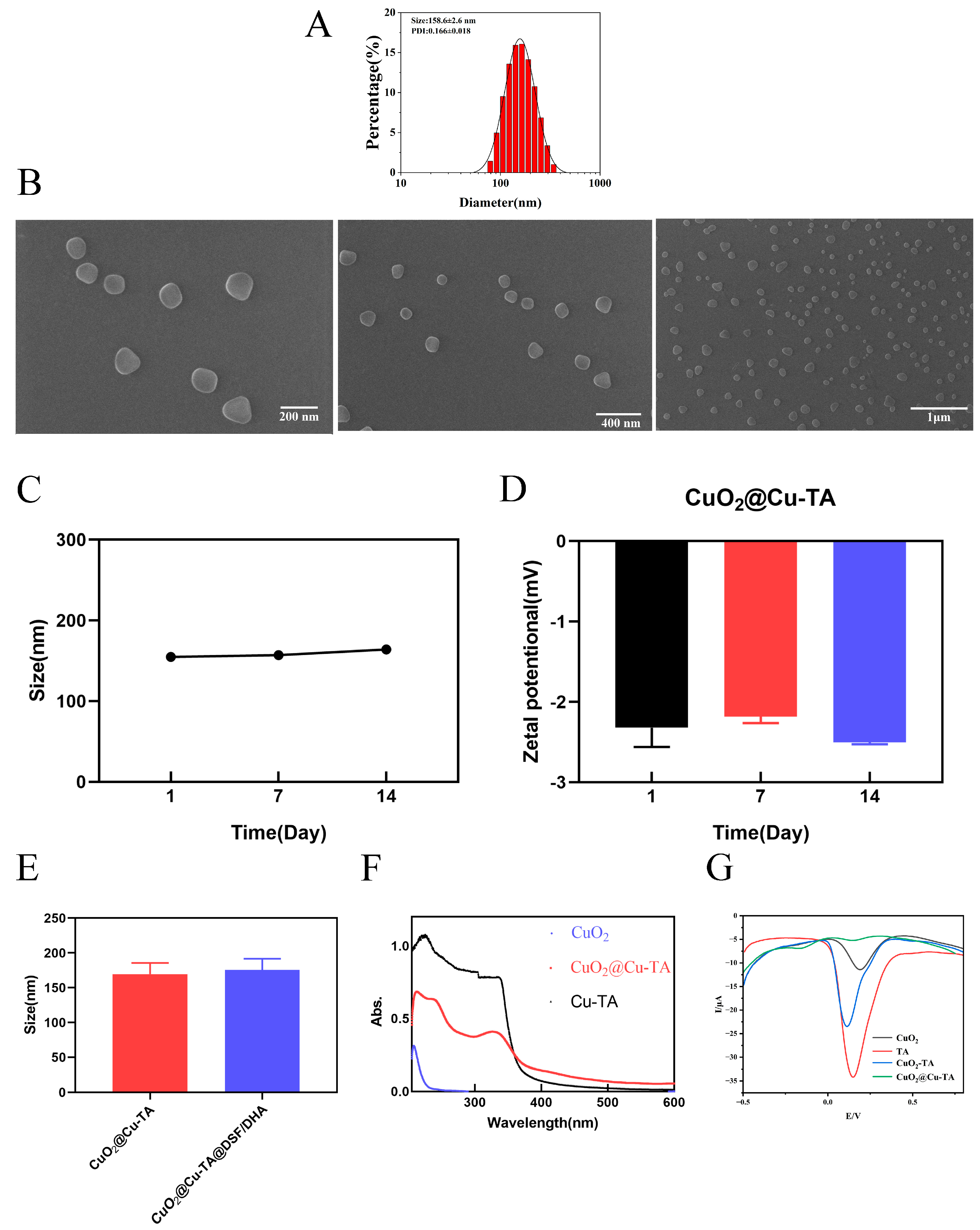 Pharmaceutics 16 01614 g002