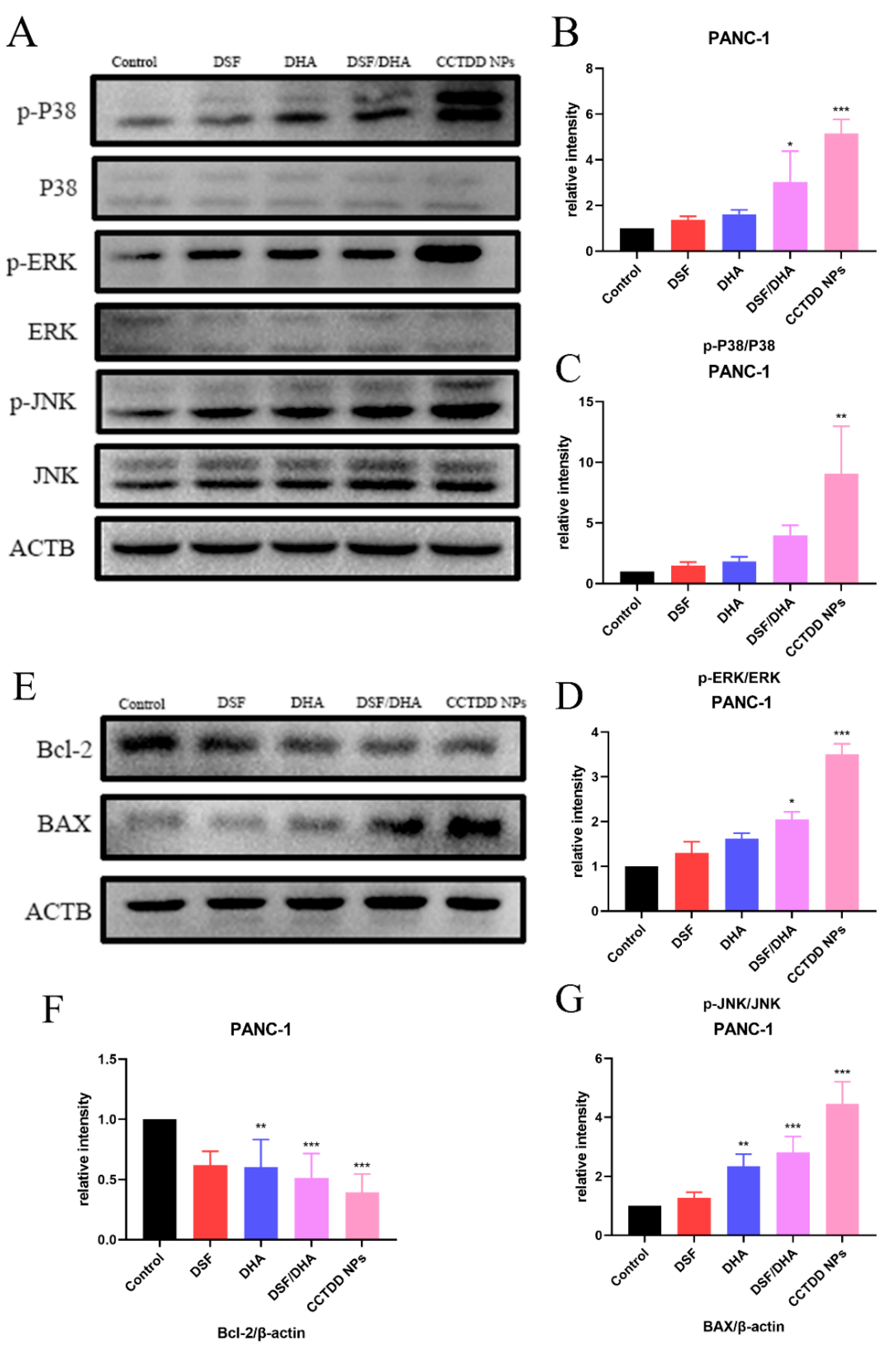 Pharmaceutics 16 01614 g005