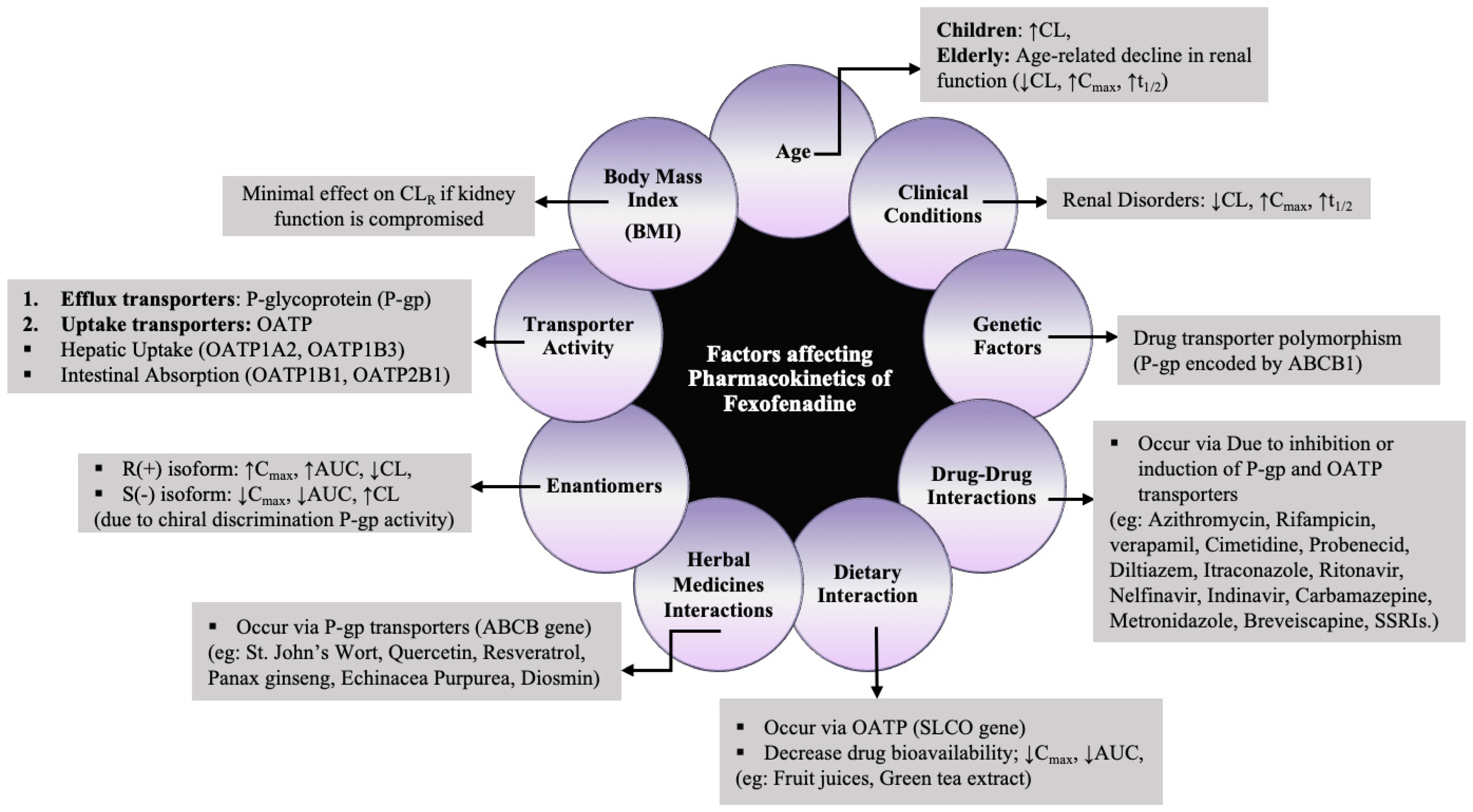Pharmaceutics 16 01619 g004