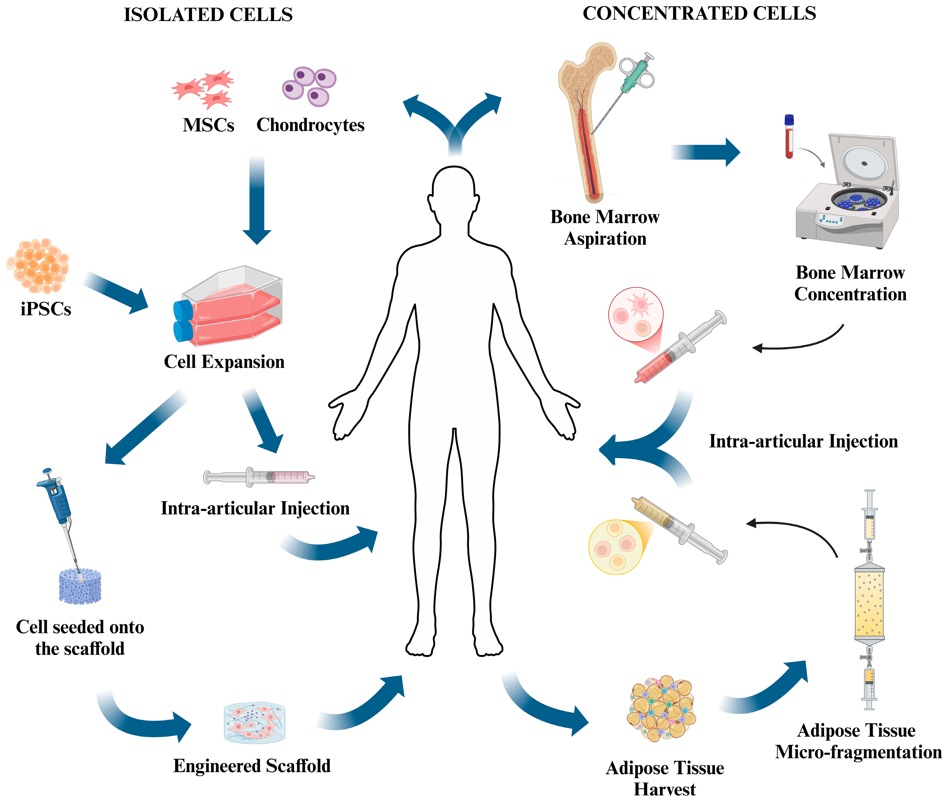Pharmaceutics 16 01622 g001