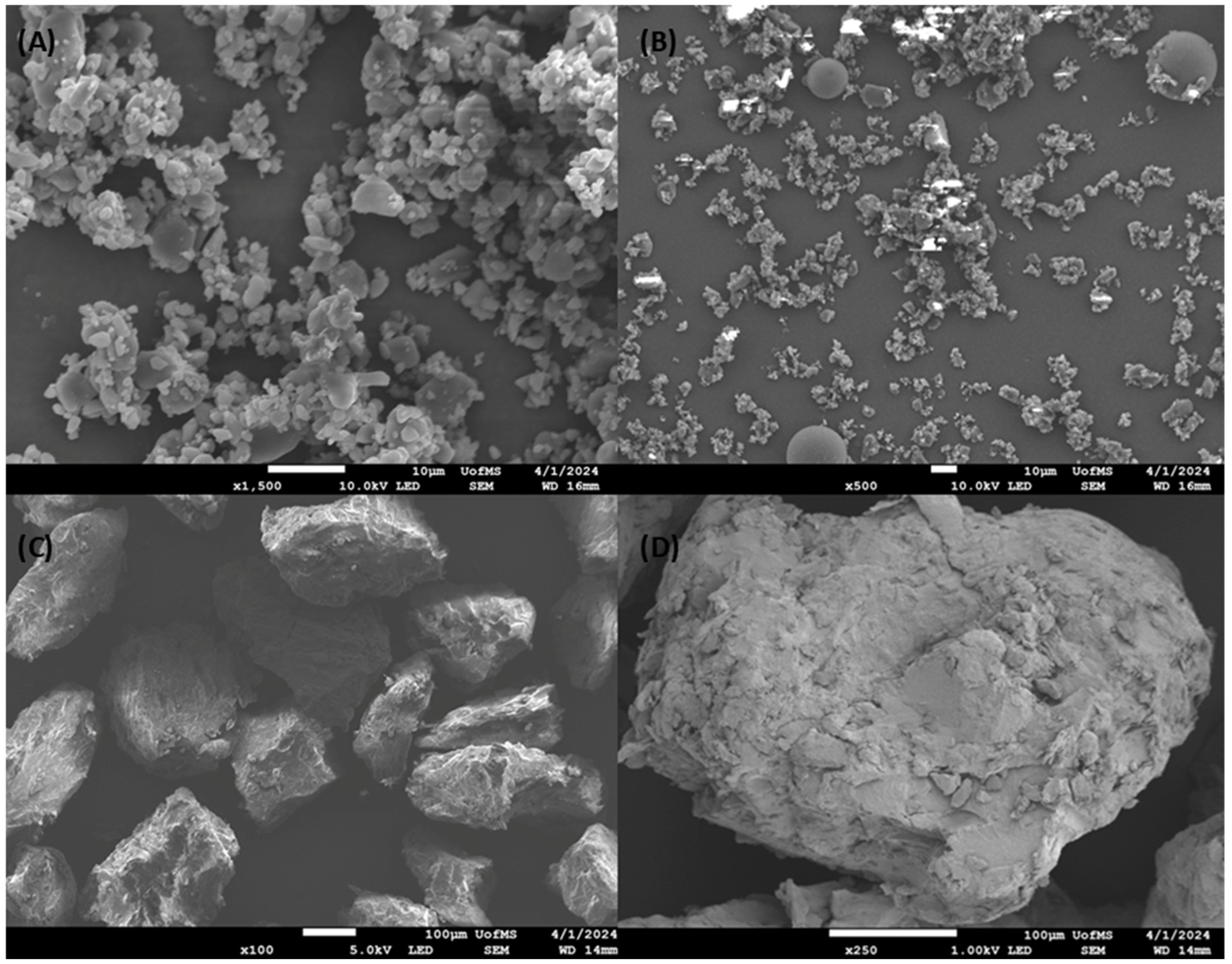 Pharmaceutics 16 01630 g007