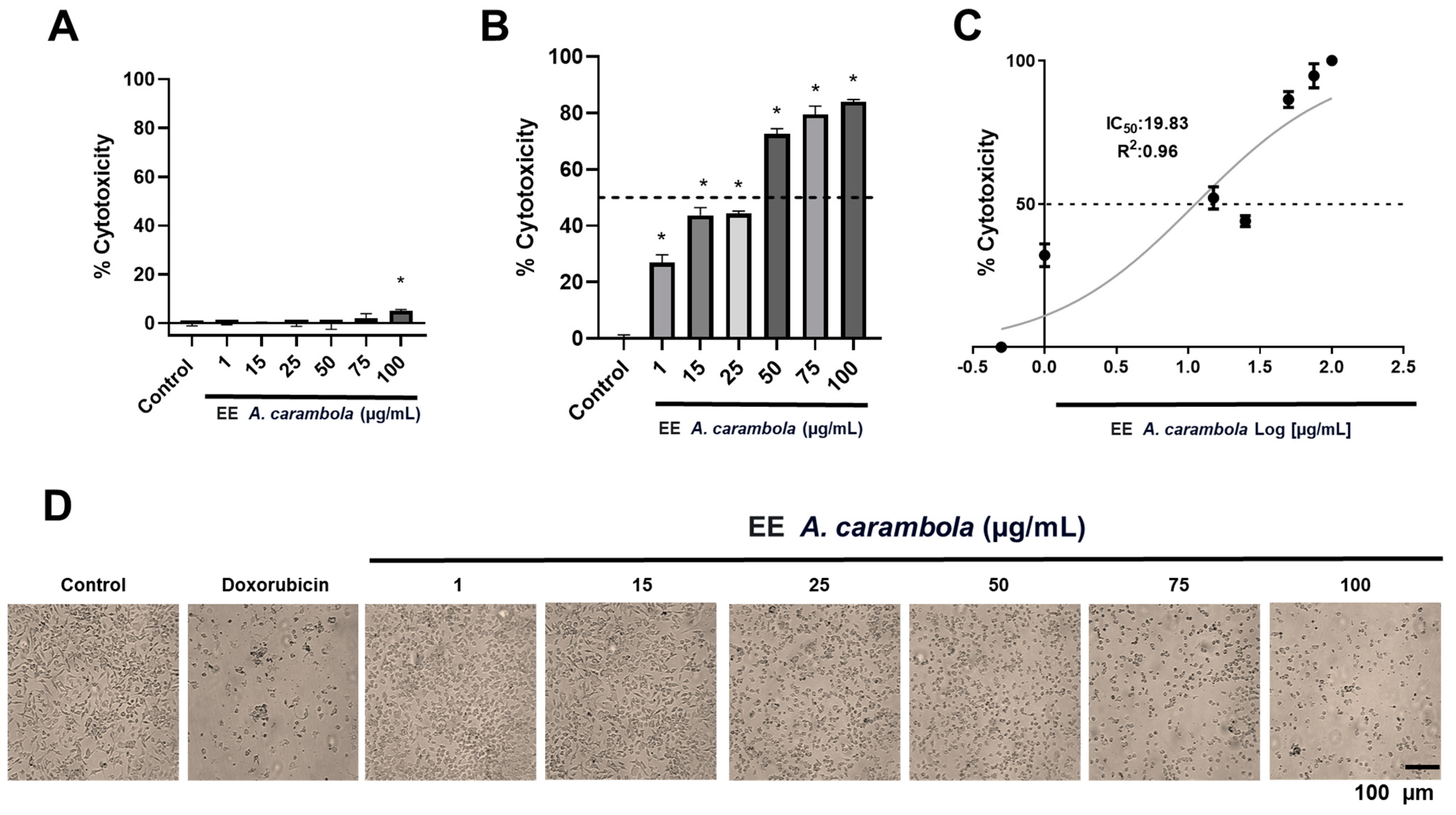 Pharmaceutics 17 00002 g002