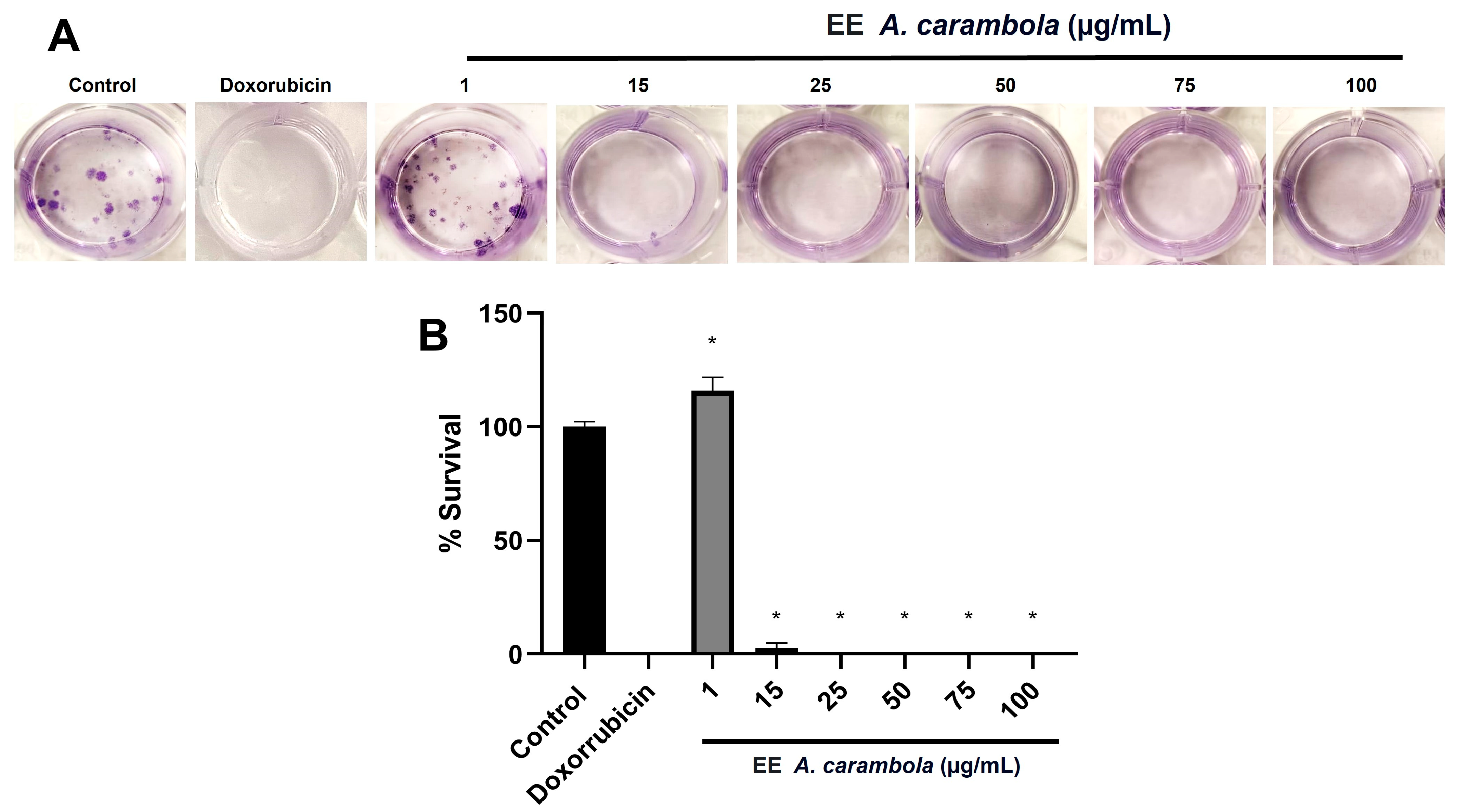 Pharmaceutics 17 00002 g003