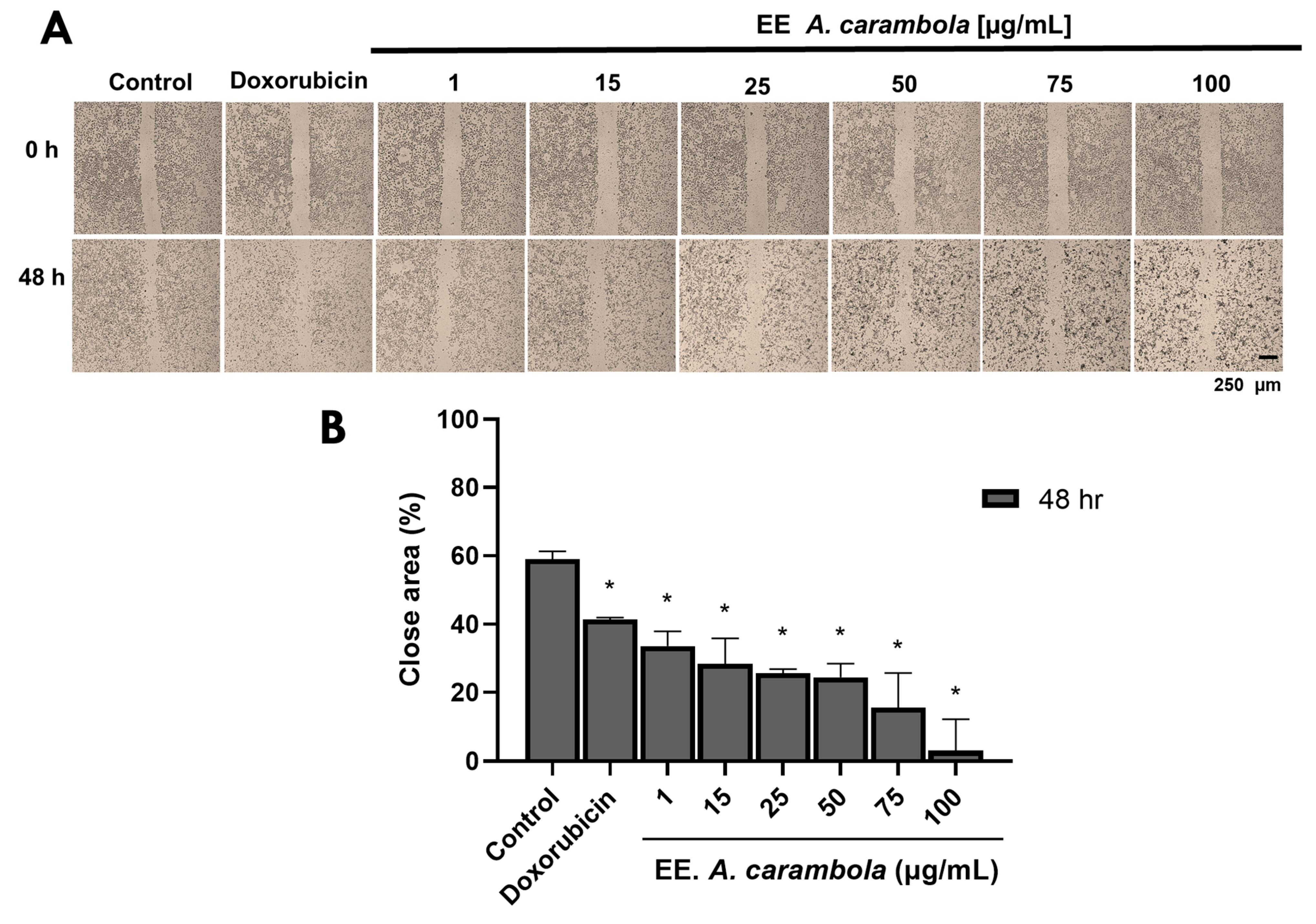 Pharmaceutics 17 00002 g004