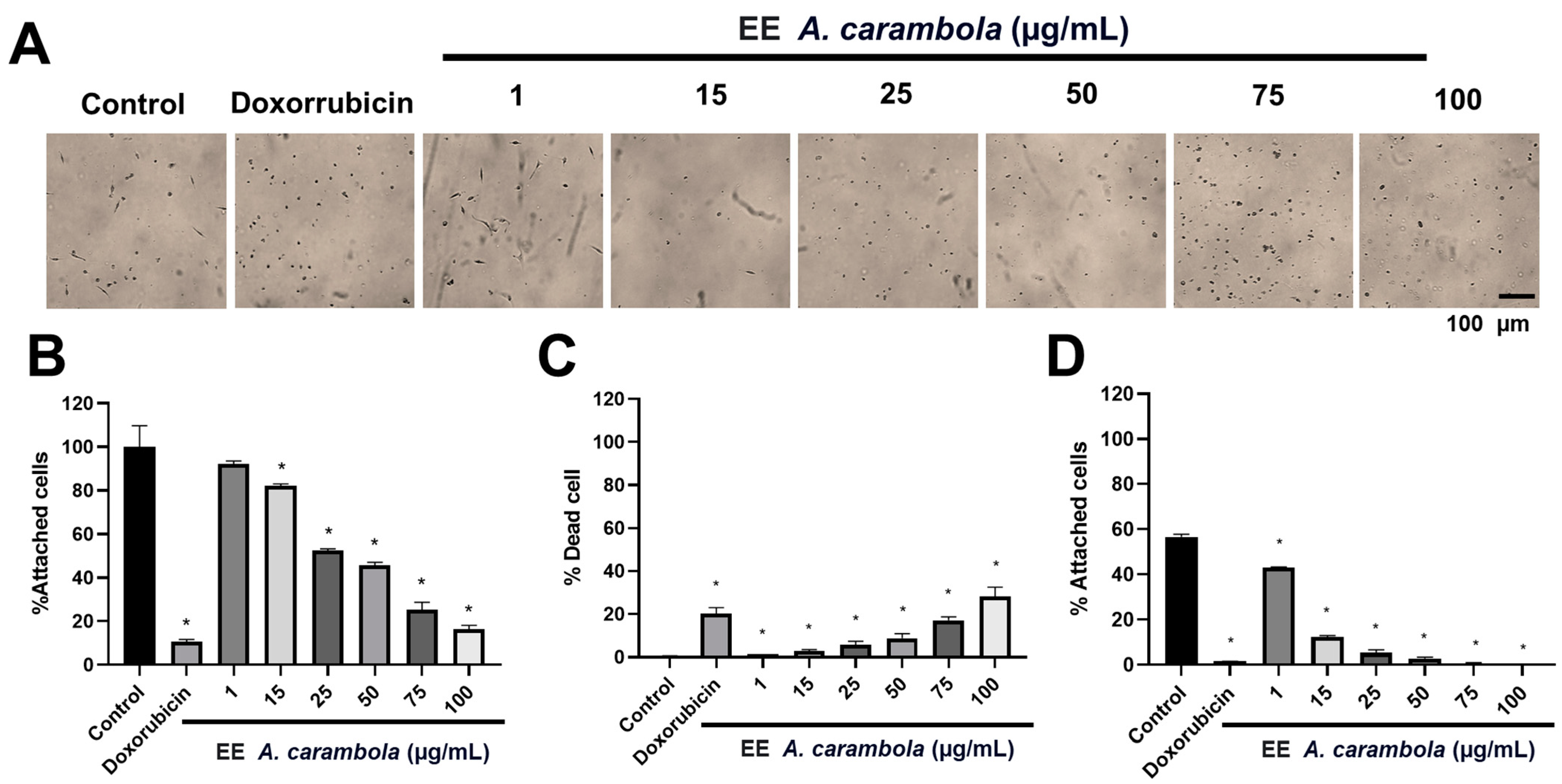 Pharmaceutics 17 00002 g005
