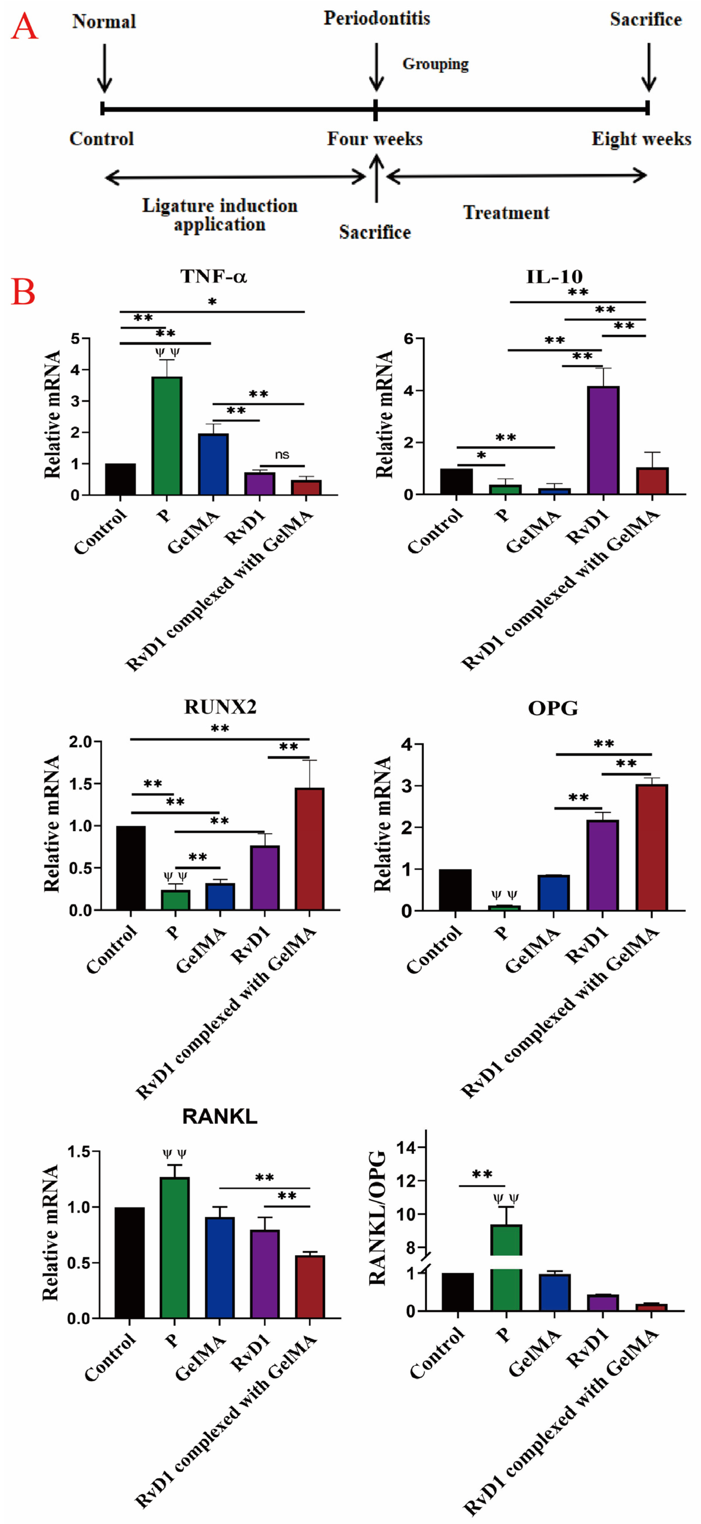 Pharmaceutics 17 00016 g003