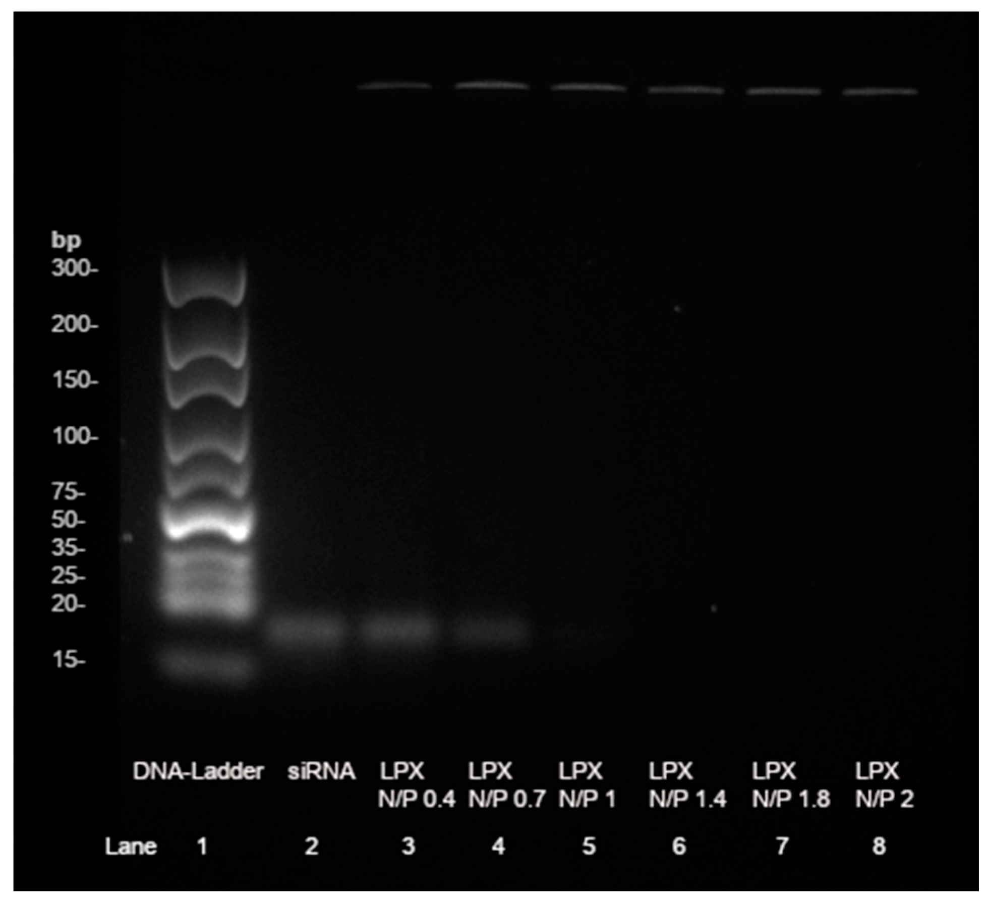 Pharmaceutics 17 00025 g004 Pharmaceutics 17 00025 g004