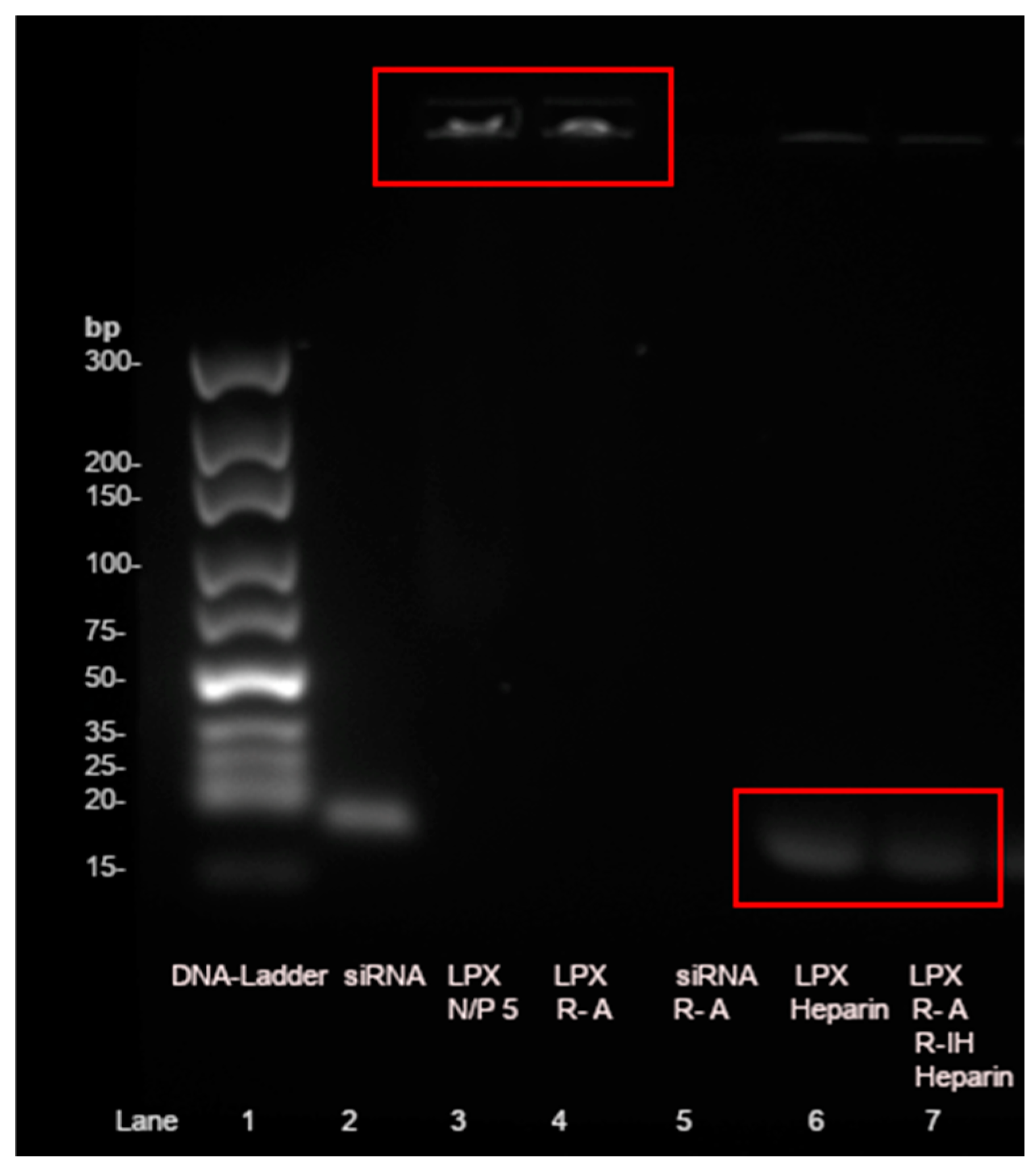 Pharmaceutics 17 00025 g006 Pharmaceutics 17 00025 g006