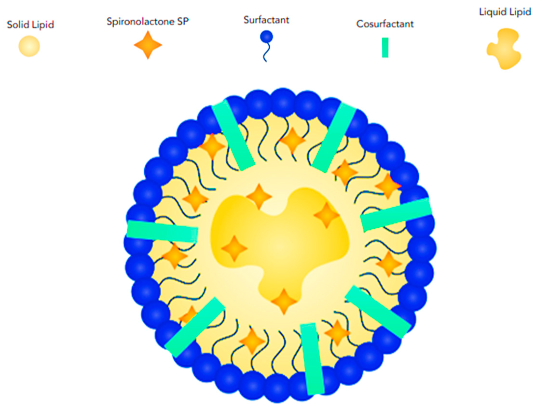 Pharmaceutics 17 00027 g005