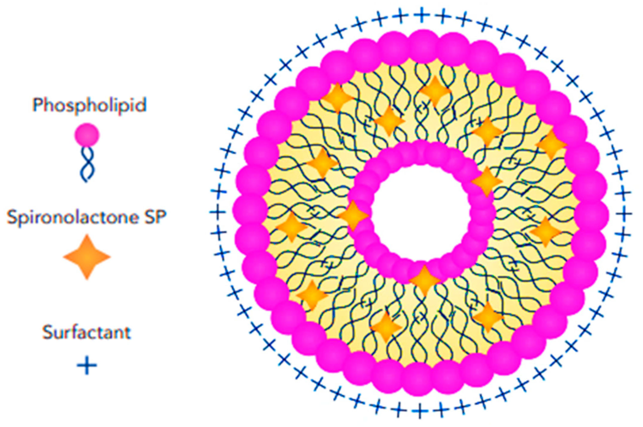 Pharmaceutics 17 00027 g006