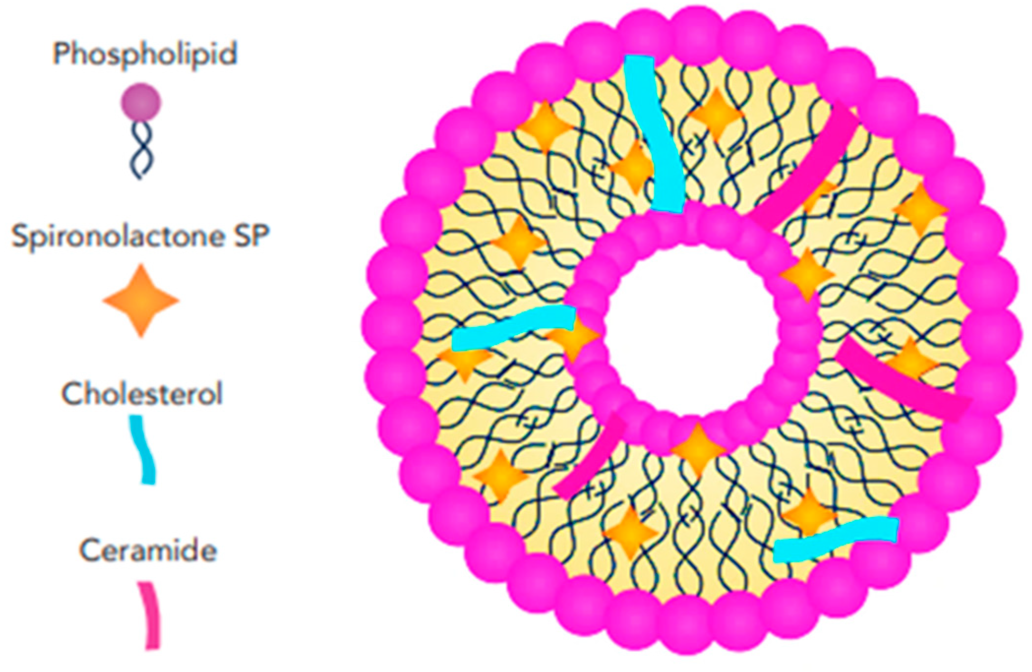 Pharmaceutics 17 00027 g007