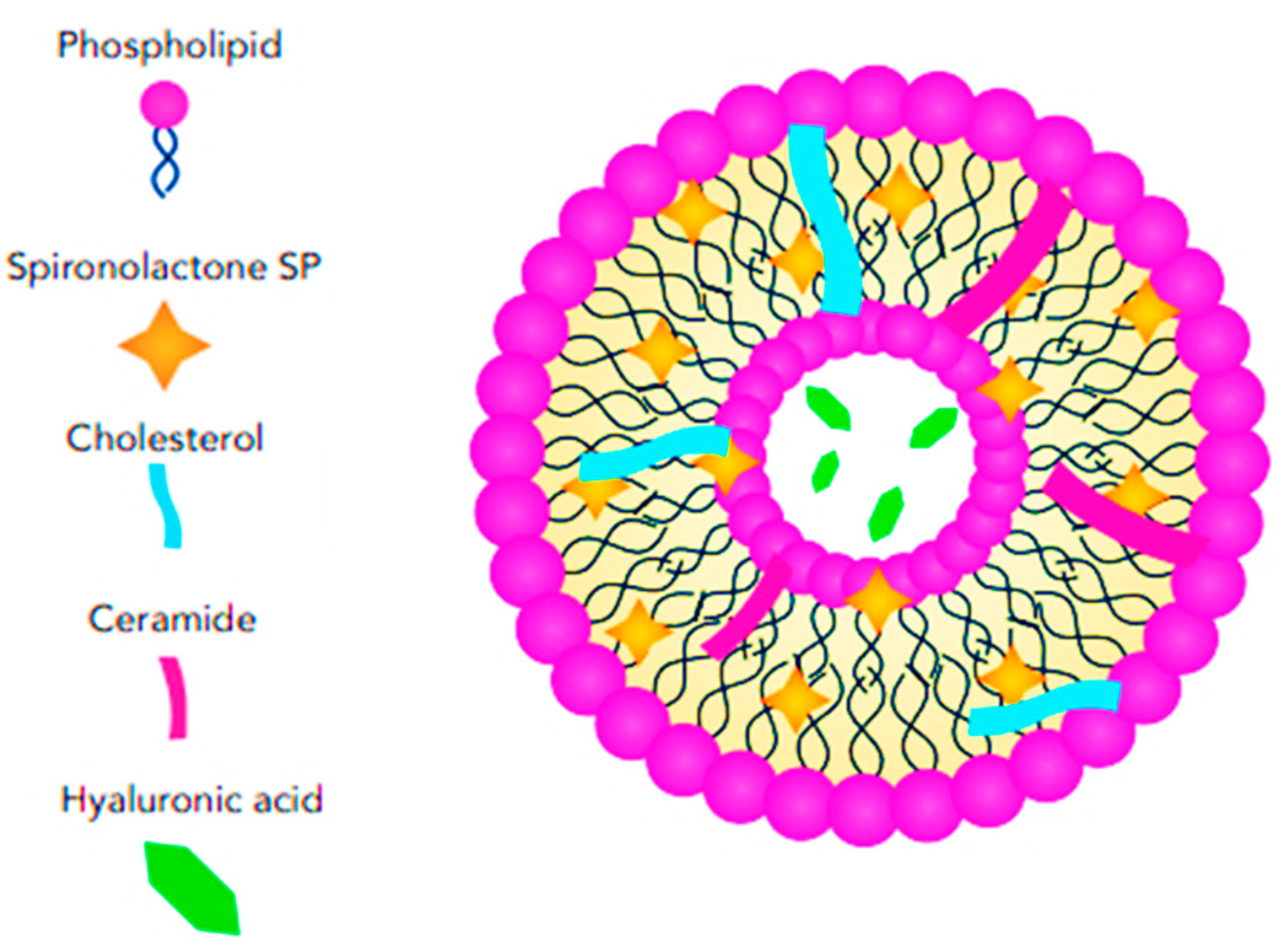 Pharmaceutics 17 00027 g008
