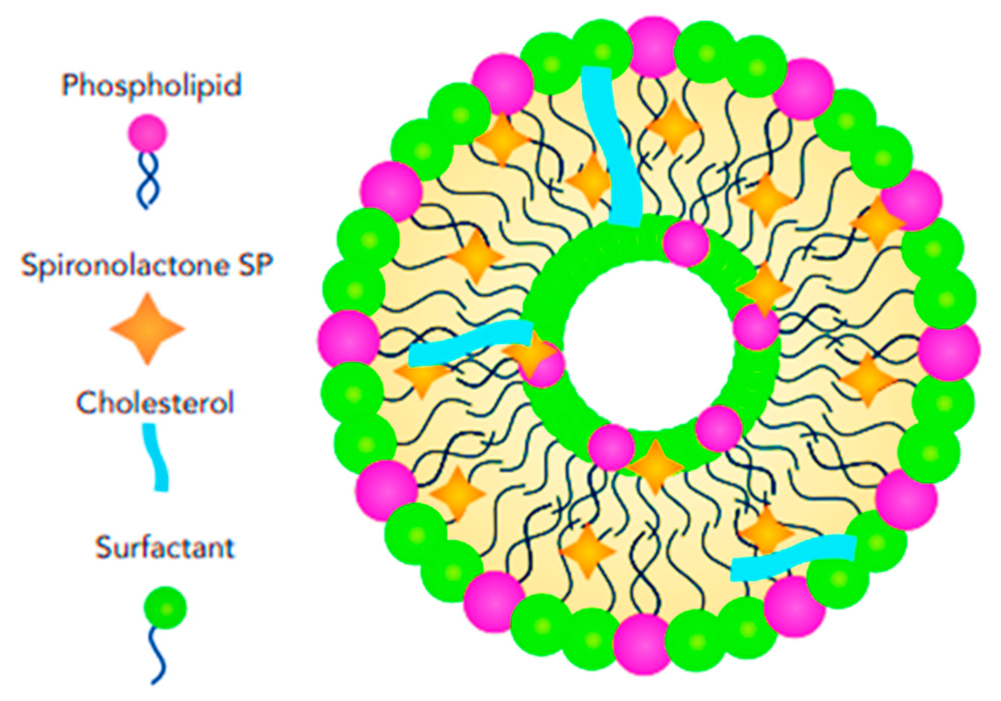 Pharmaceutics 17 00027 g009