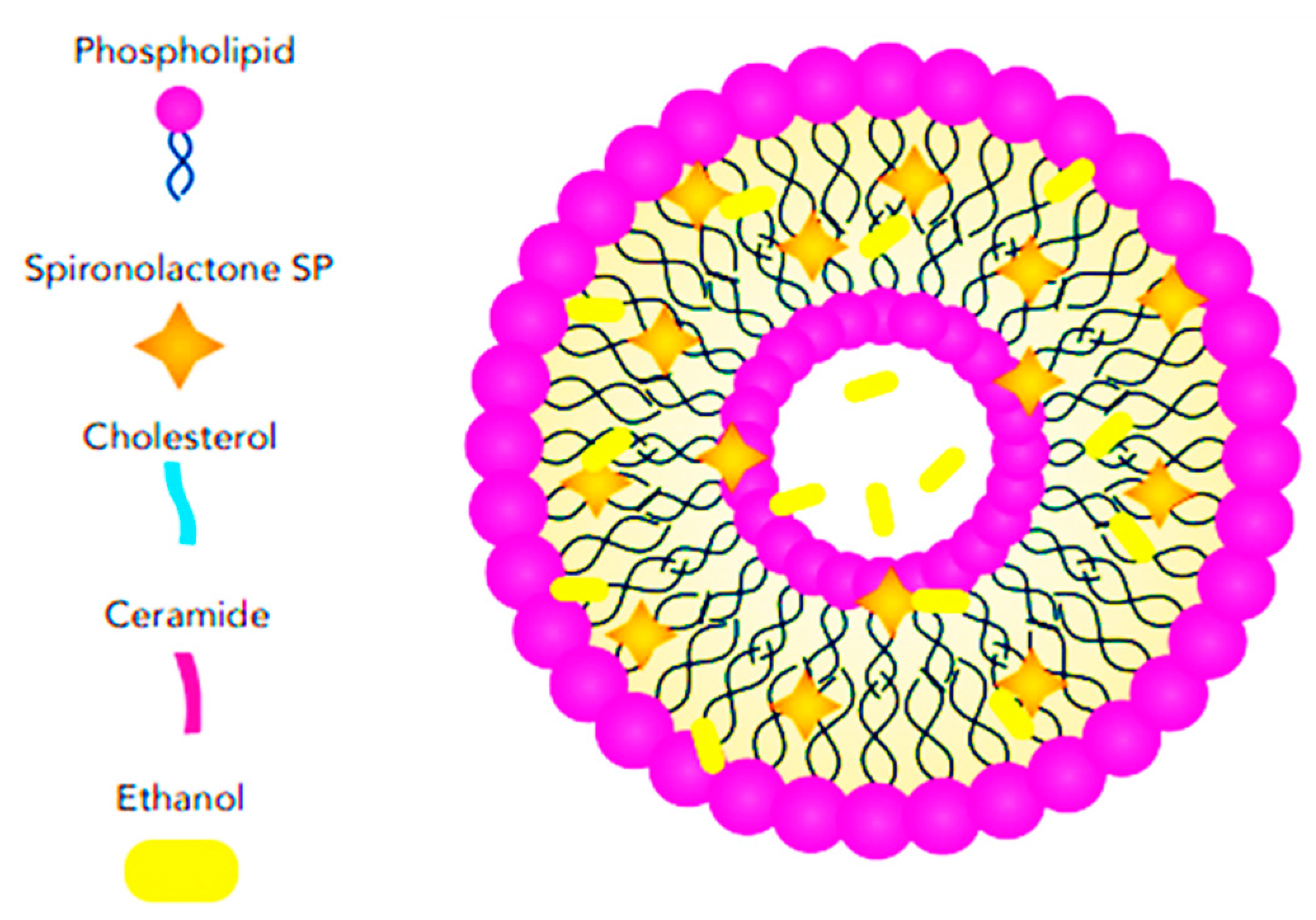 Pharmaceutics 17 00027 g010