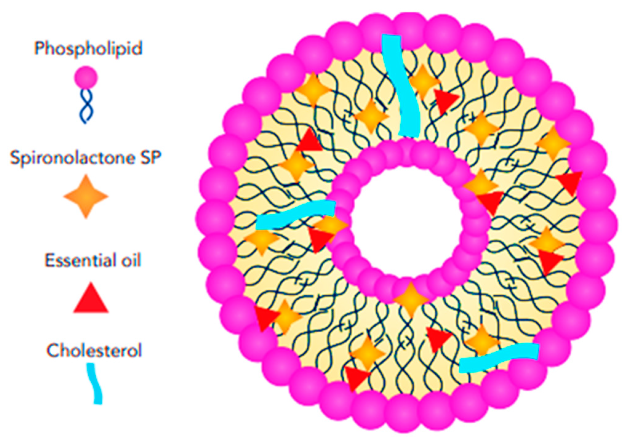Pharmaceutics 17 00027 g011