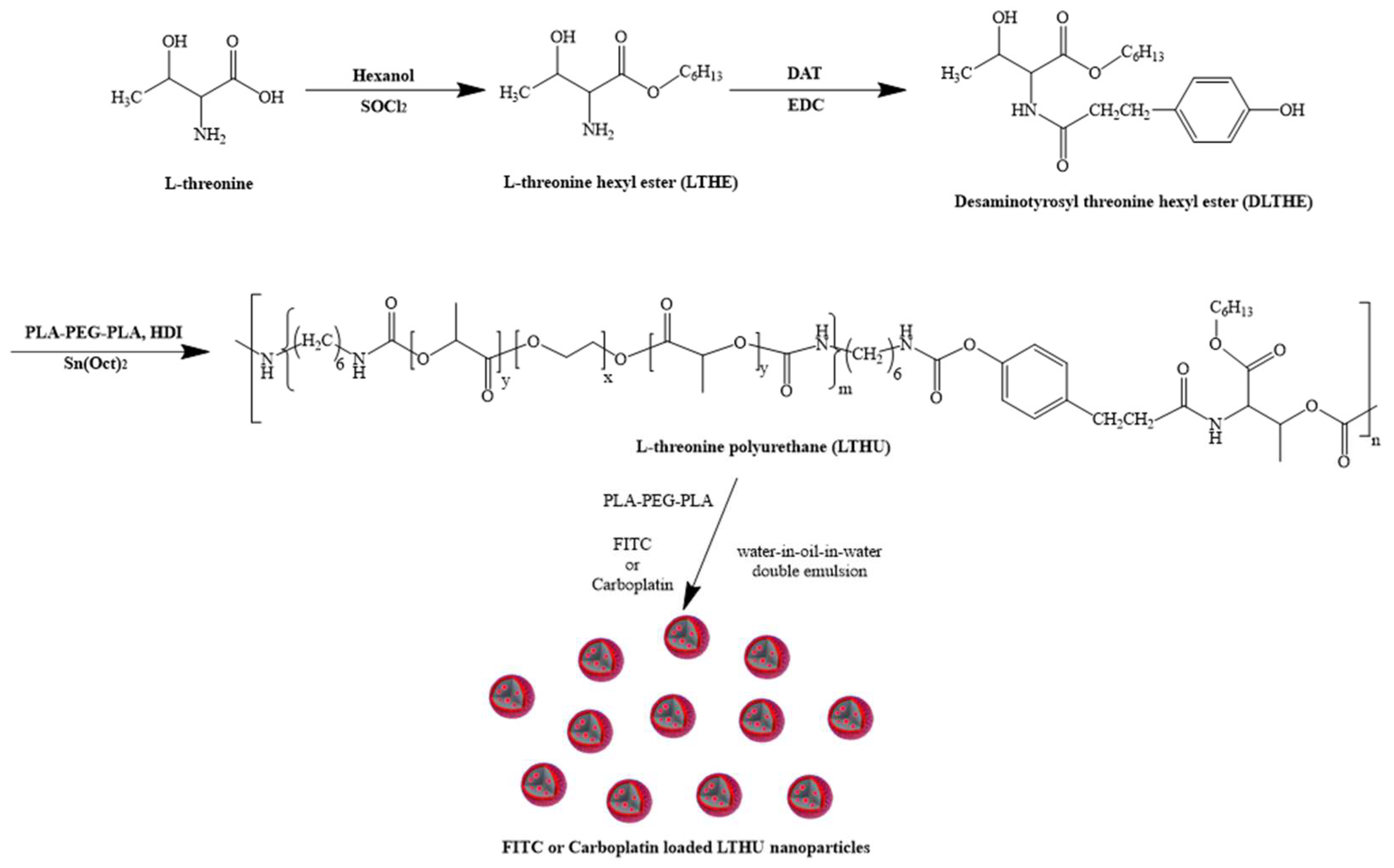 Pharmaceutics 17 00028 g001 Pharmaceutics 17 00028 g001