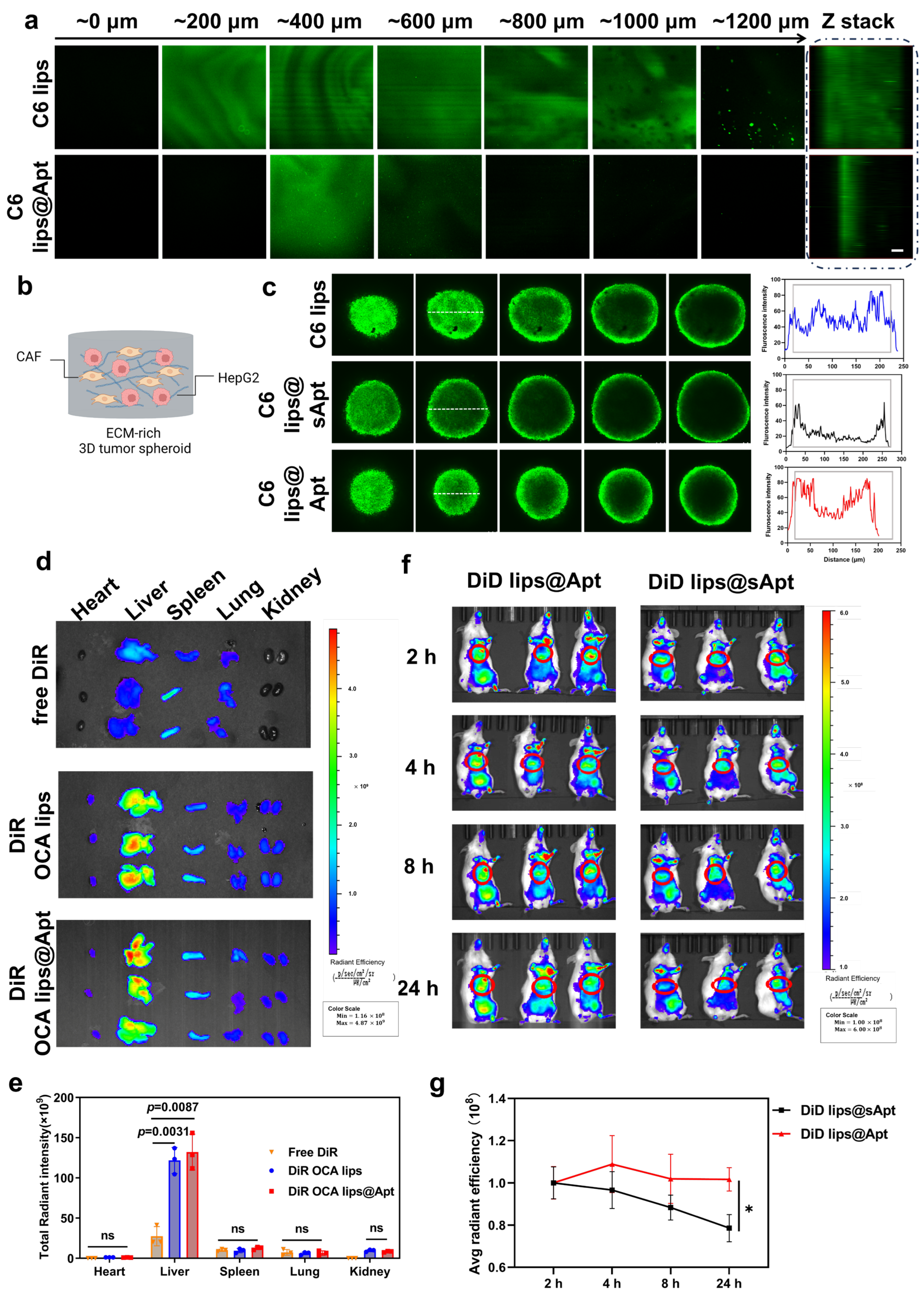 Pharmaceutics 17 00032 g003
