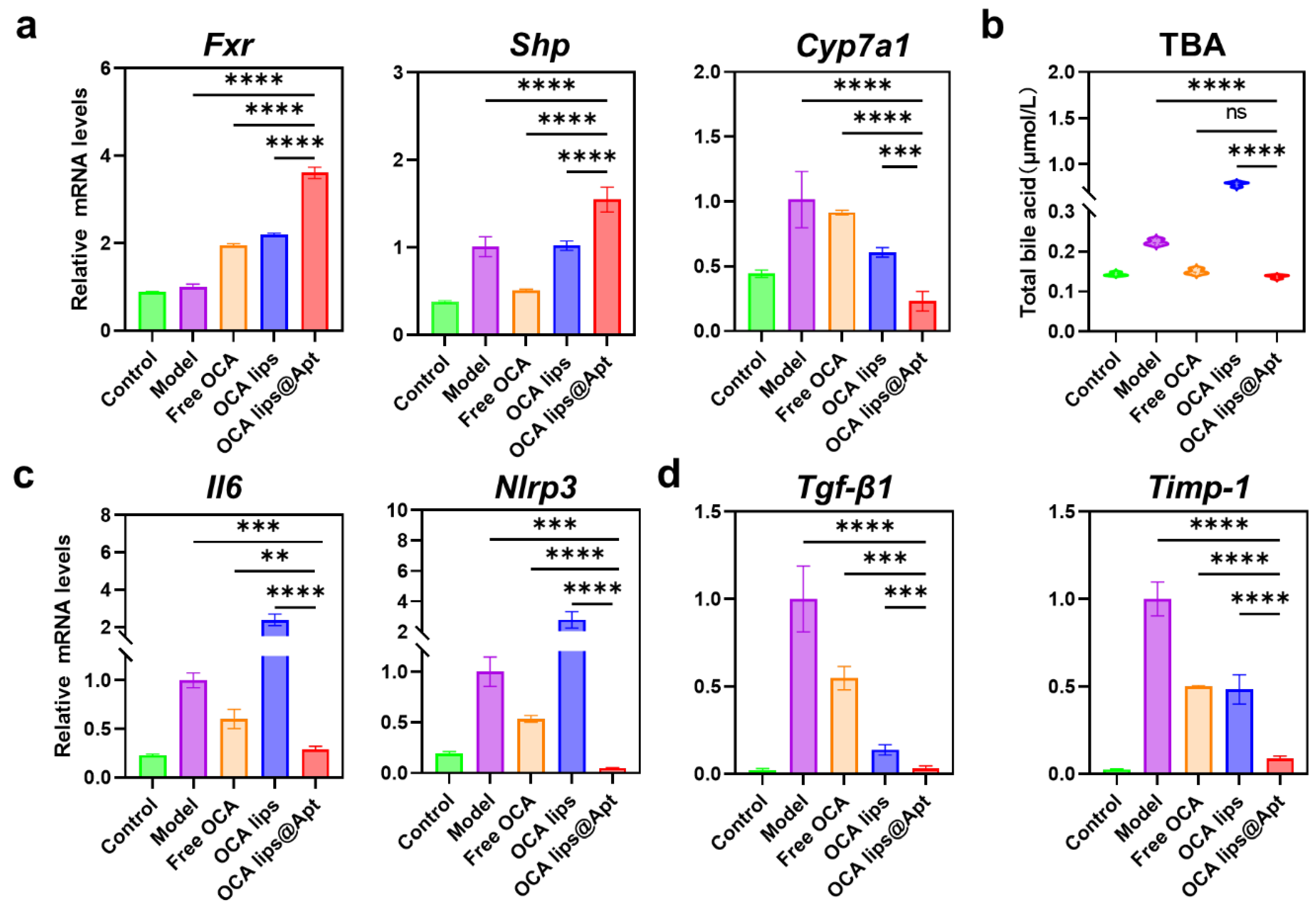 Pharmaceutics 17 00032 g005