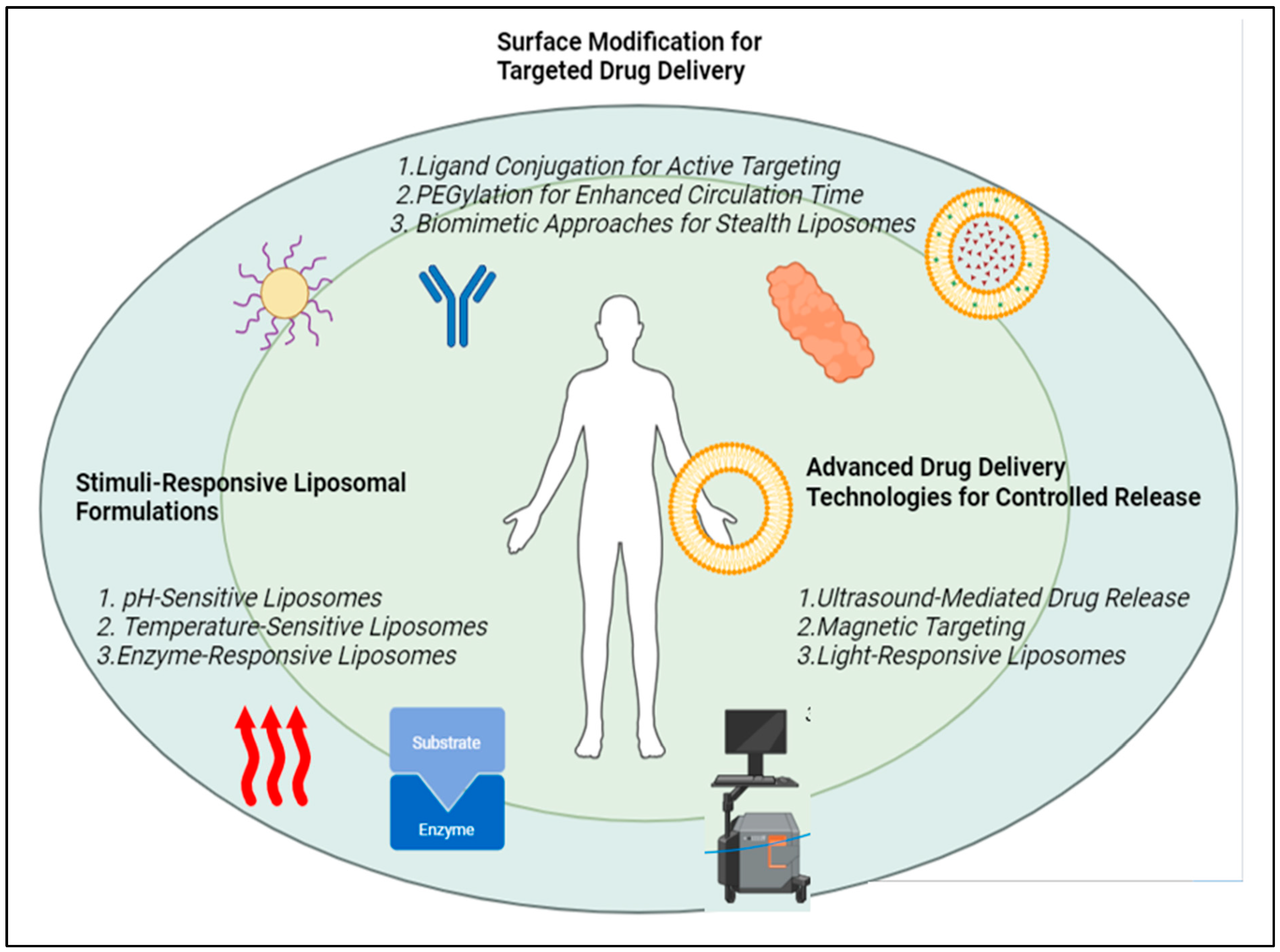 Pharmaceutics 17 00036 g001