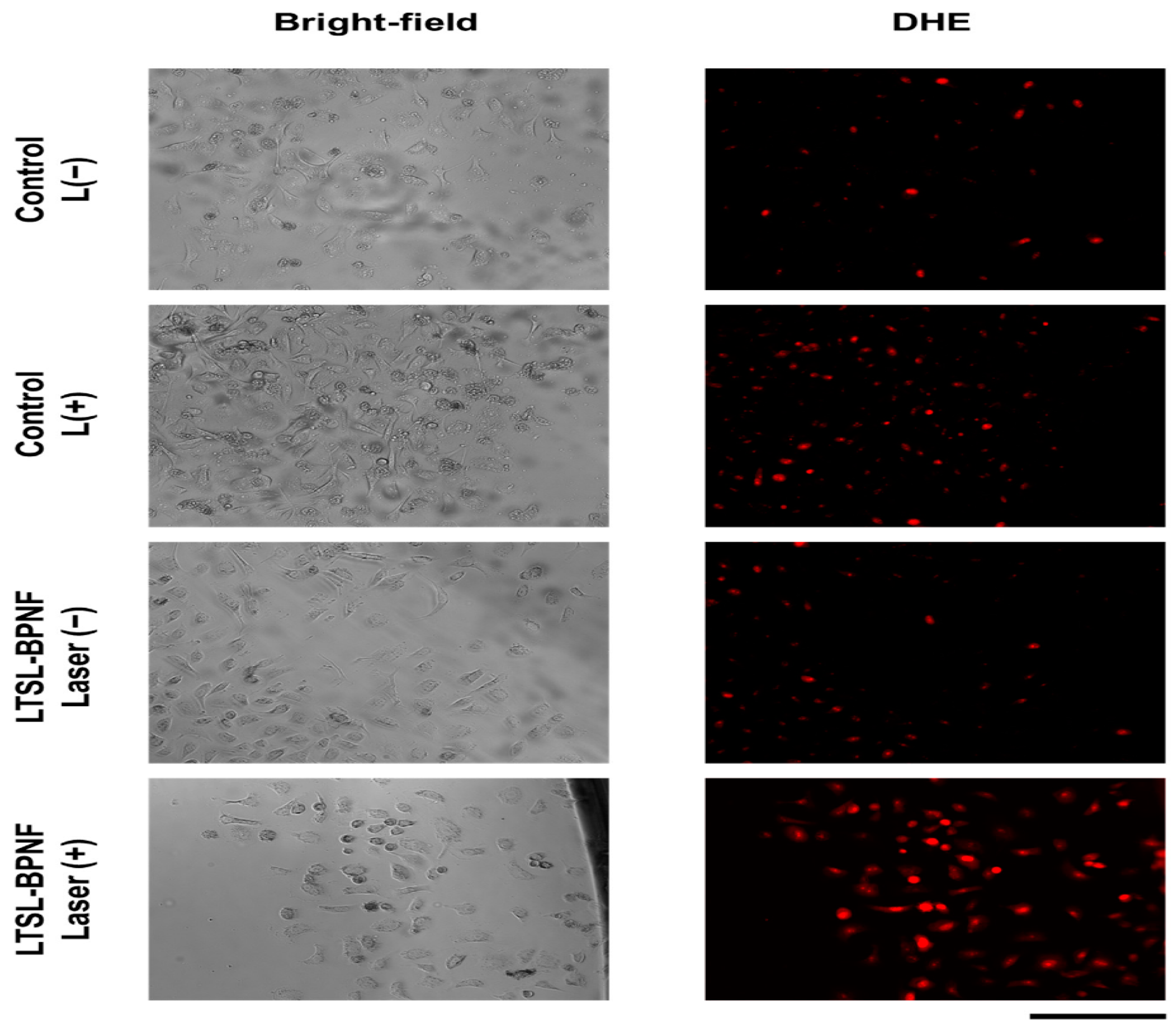 Pharmaceutics 17 00036 g003