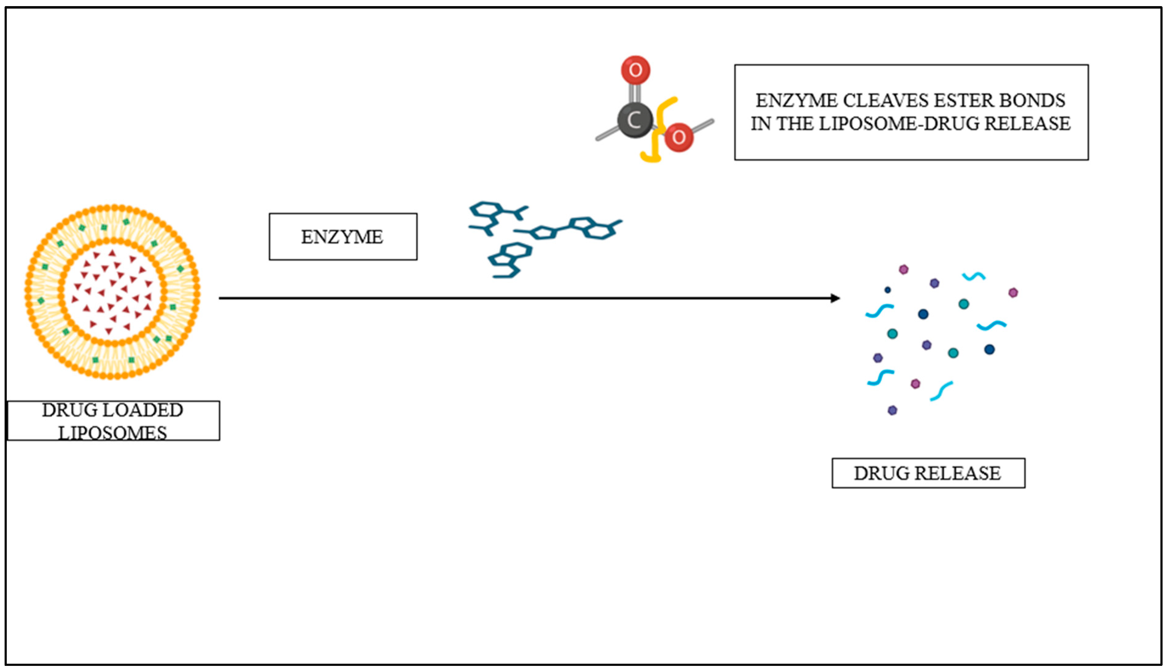 Pharmaceutics 17 00036 g004