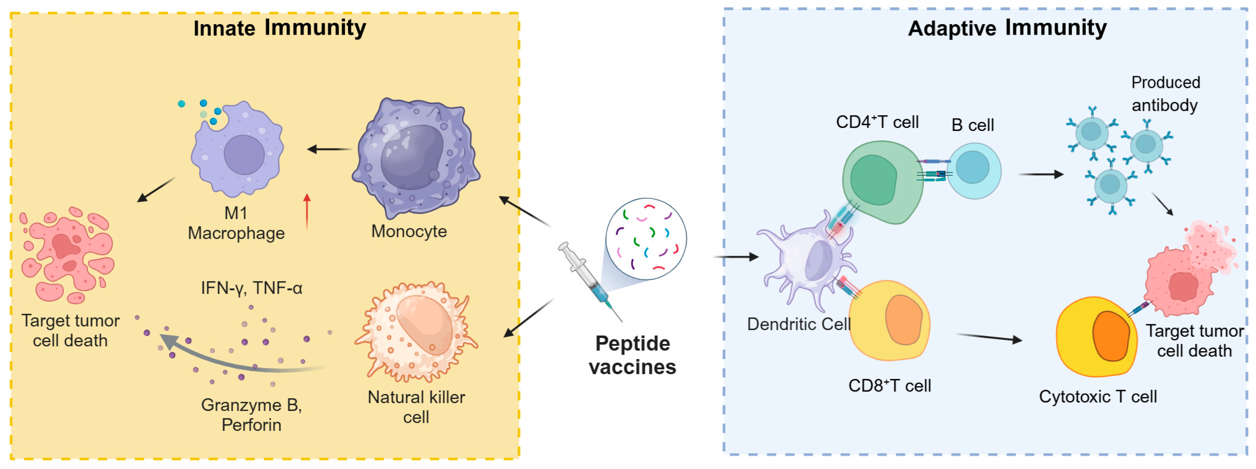 Pharmaceutics 17 00046 g002
