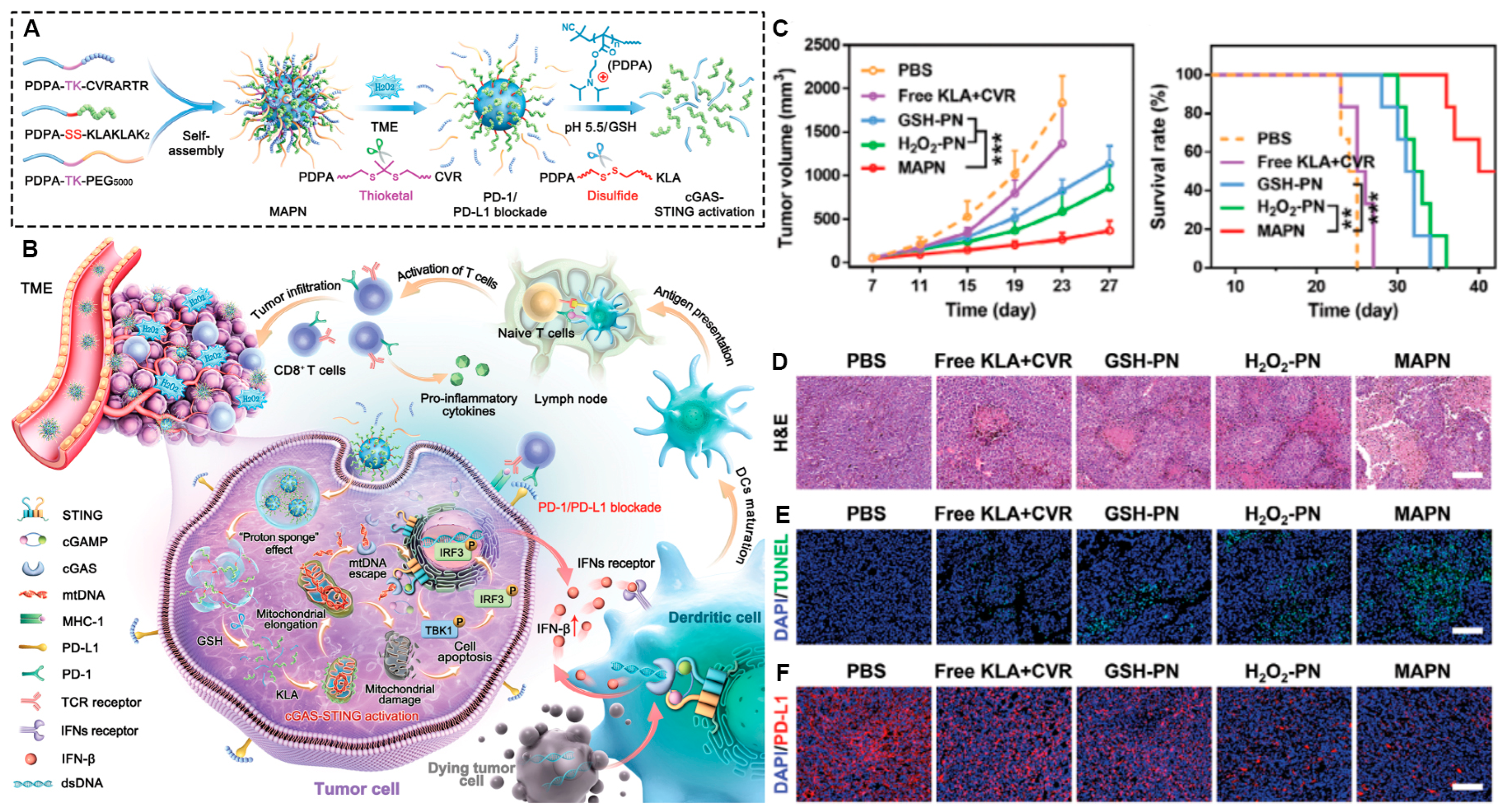 Pharmaceutics 17 00046 g004