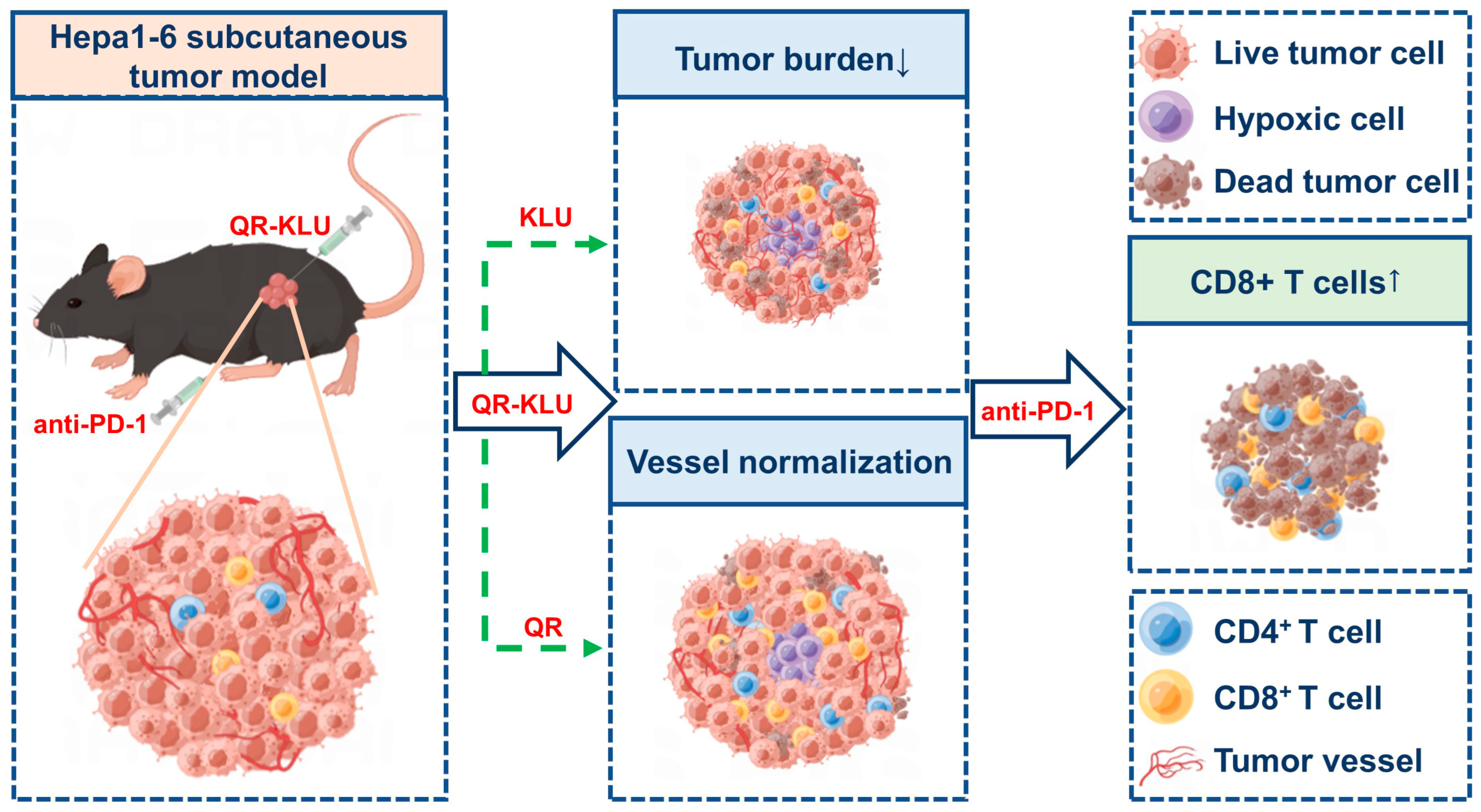 Pharmaceutics 17 00046 g005