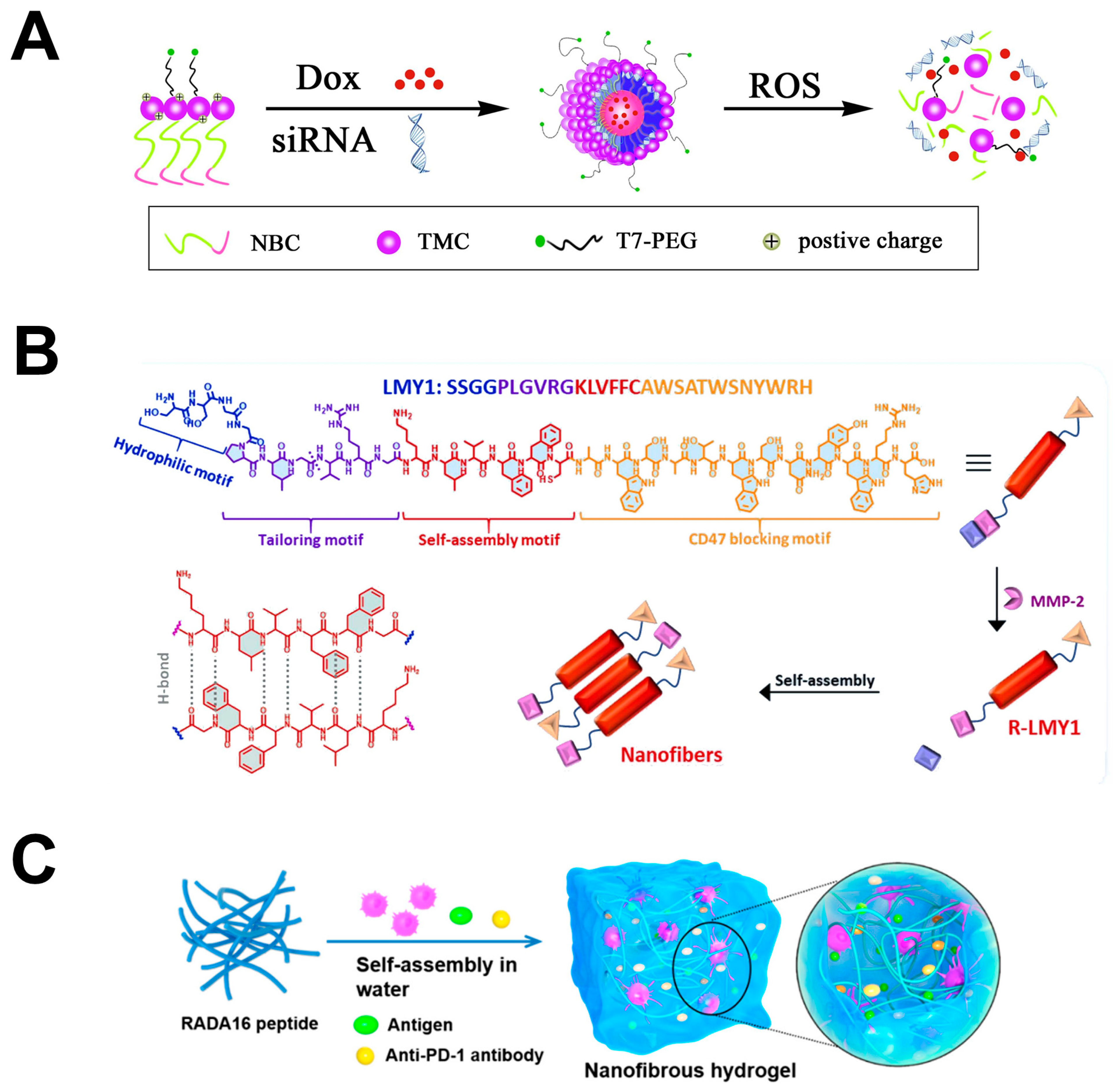 Pharmaceutics 17 00046 g007