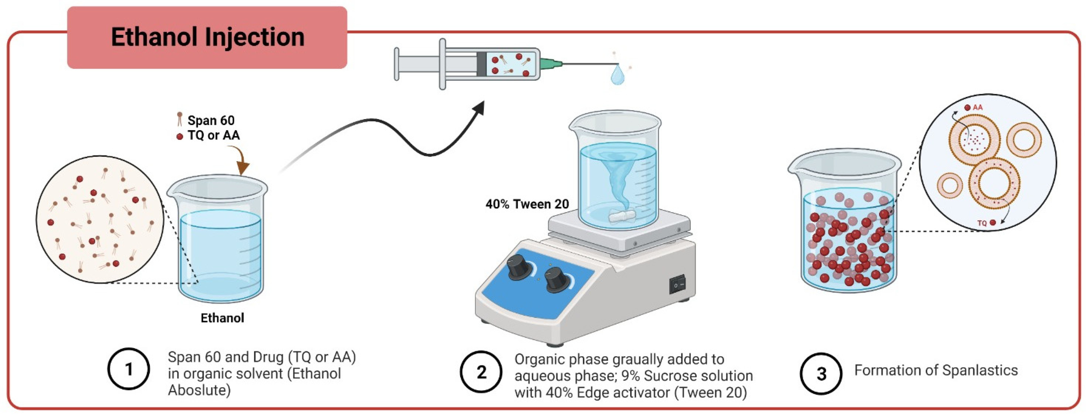 Pharmaceutics 17 00048 g001 Pharmaceutics 17 00048 g001