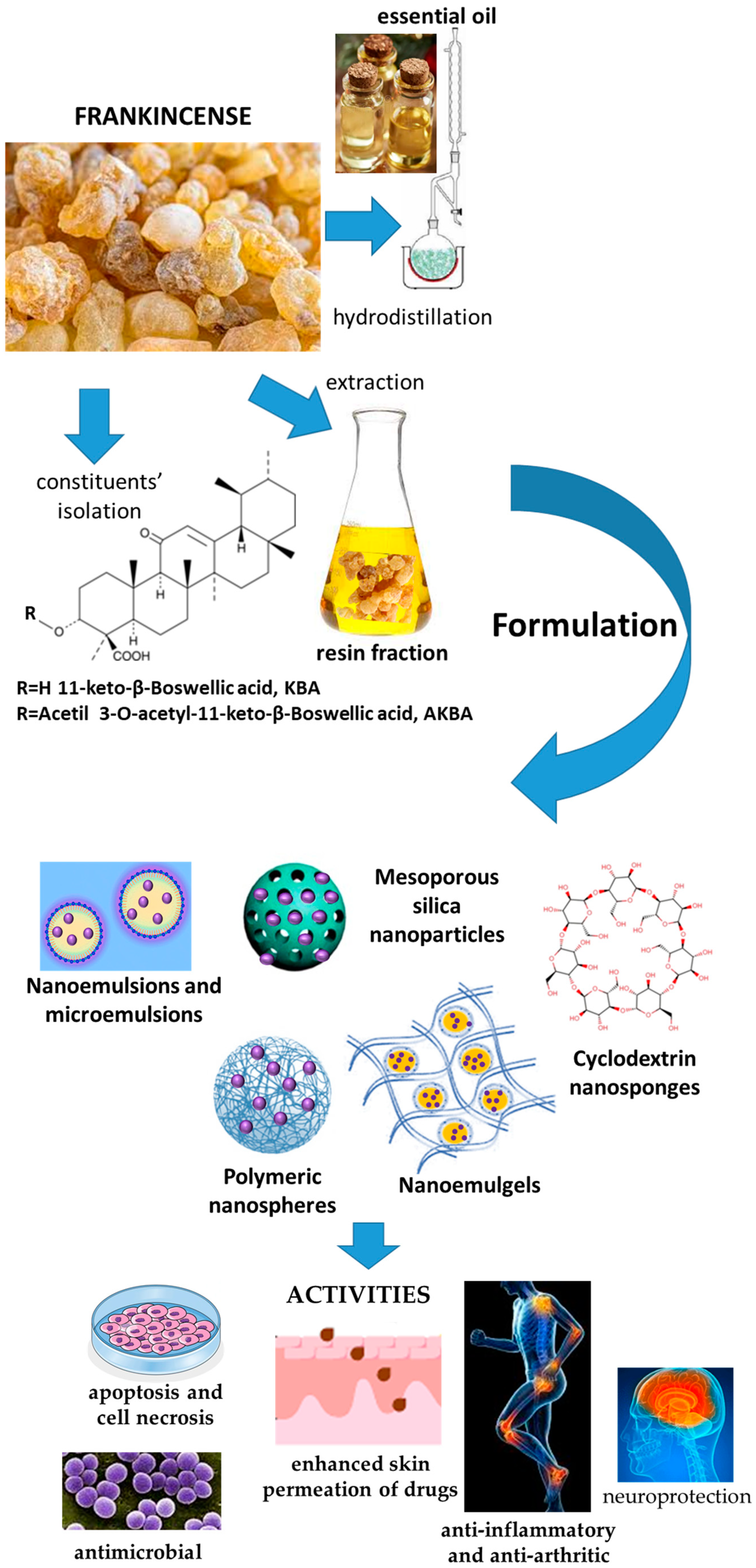 Pharmaceutics 17 00053 g002