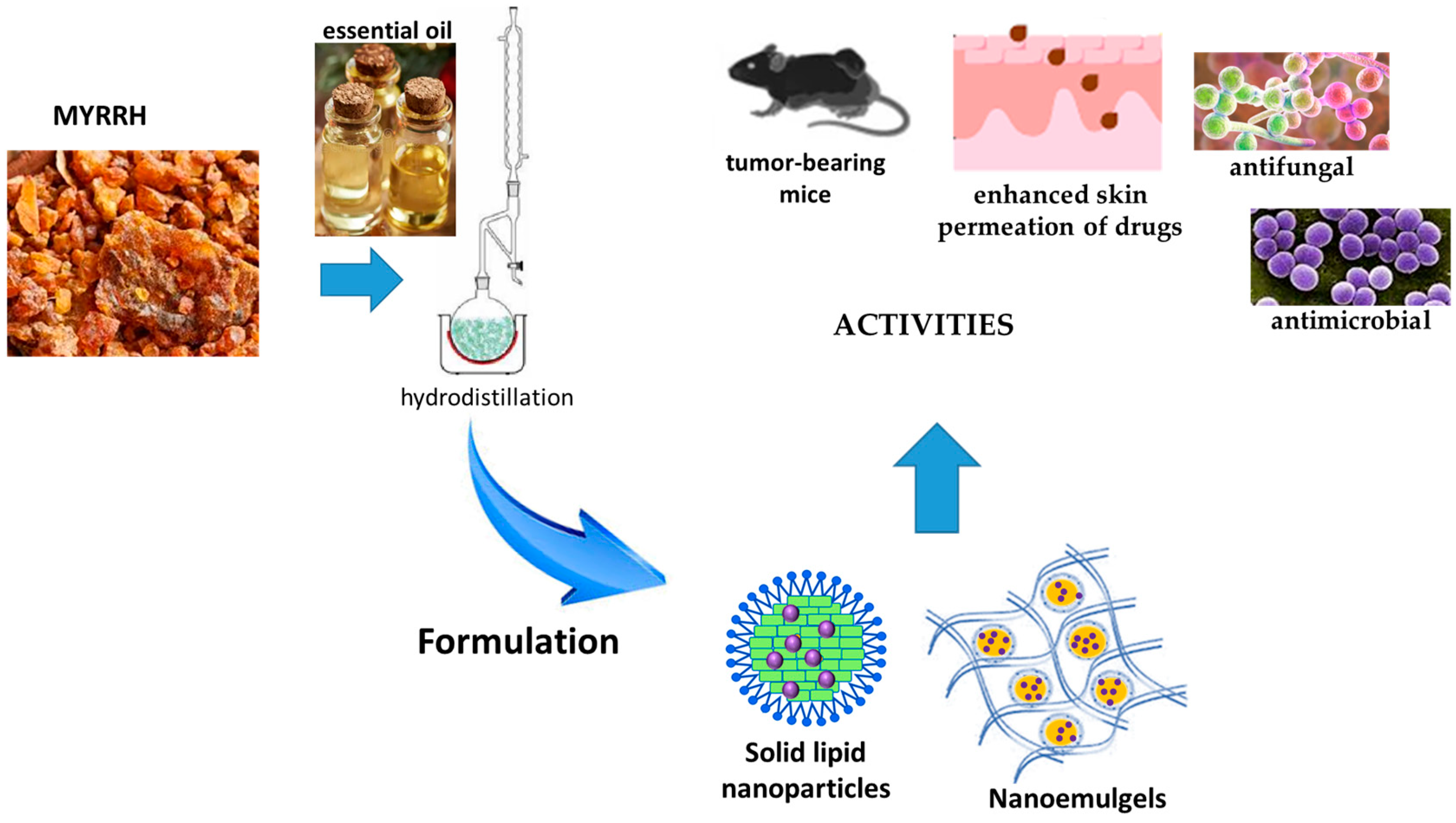 Pharmaceutics 17 00053 g003