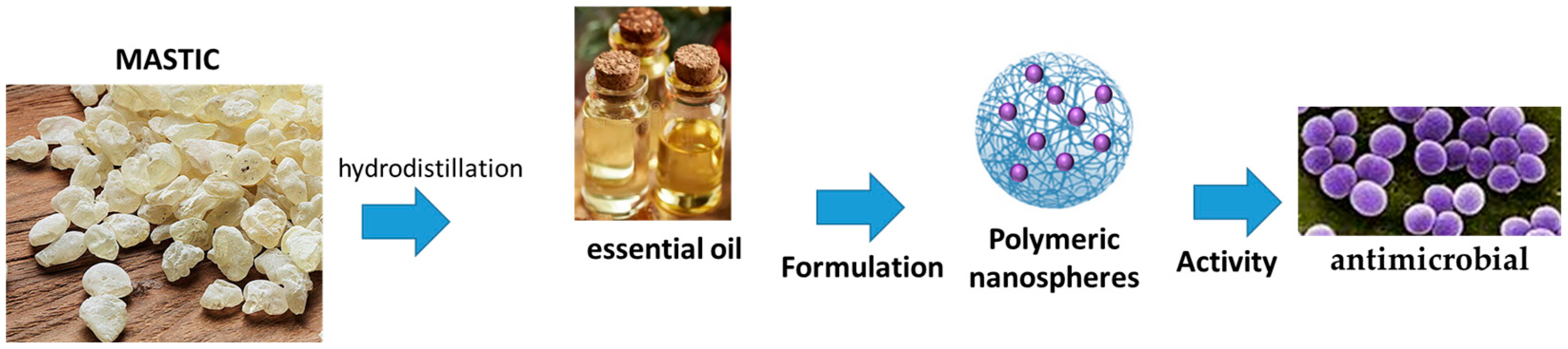 Pharmaceutics 17 00053 g005
