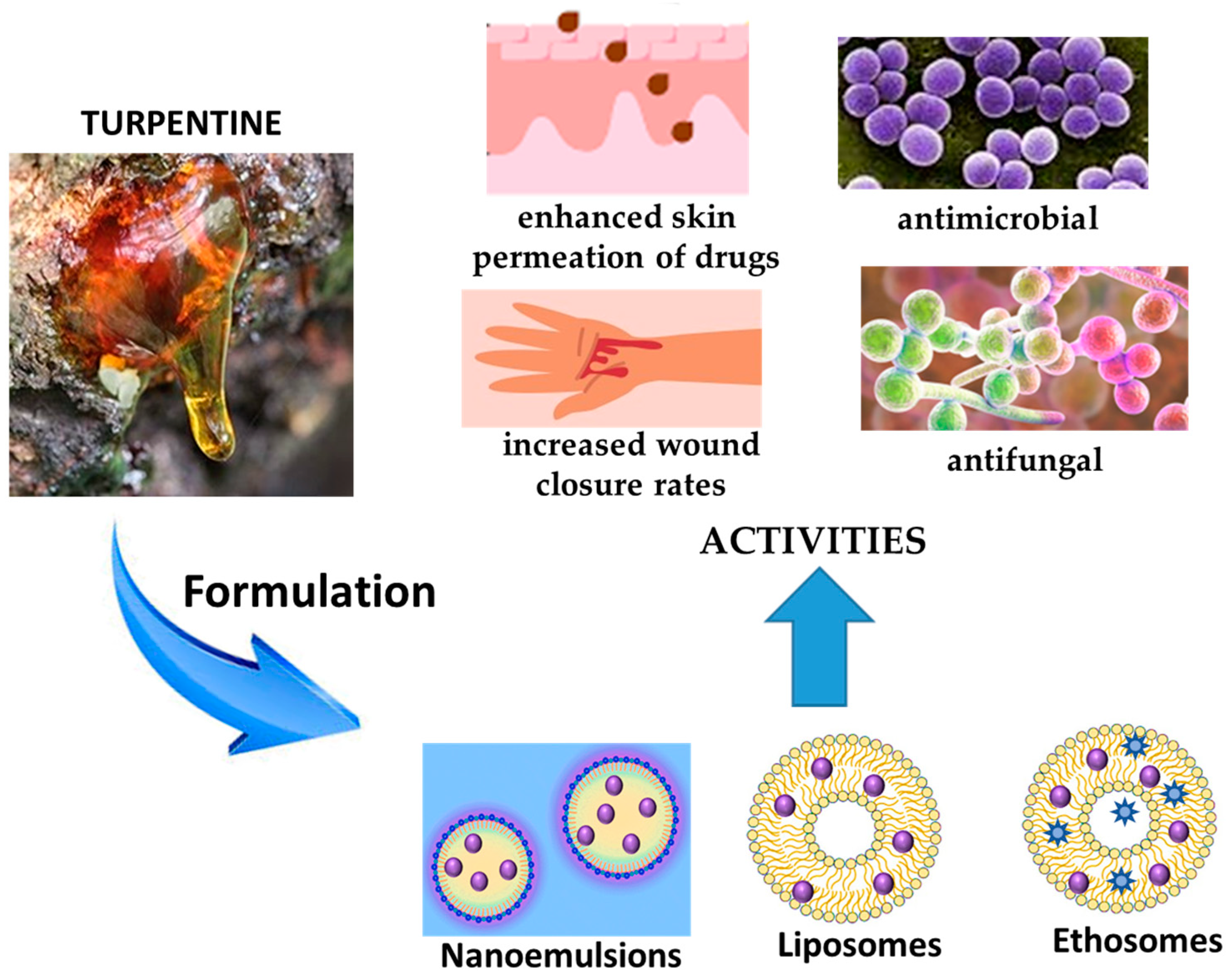 Pharmaceutics 17 00053 g006